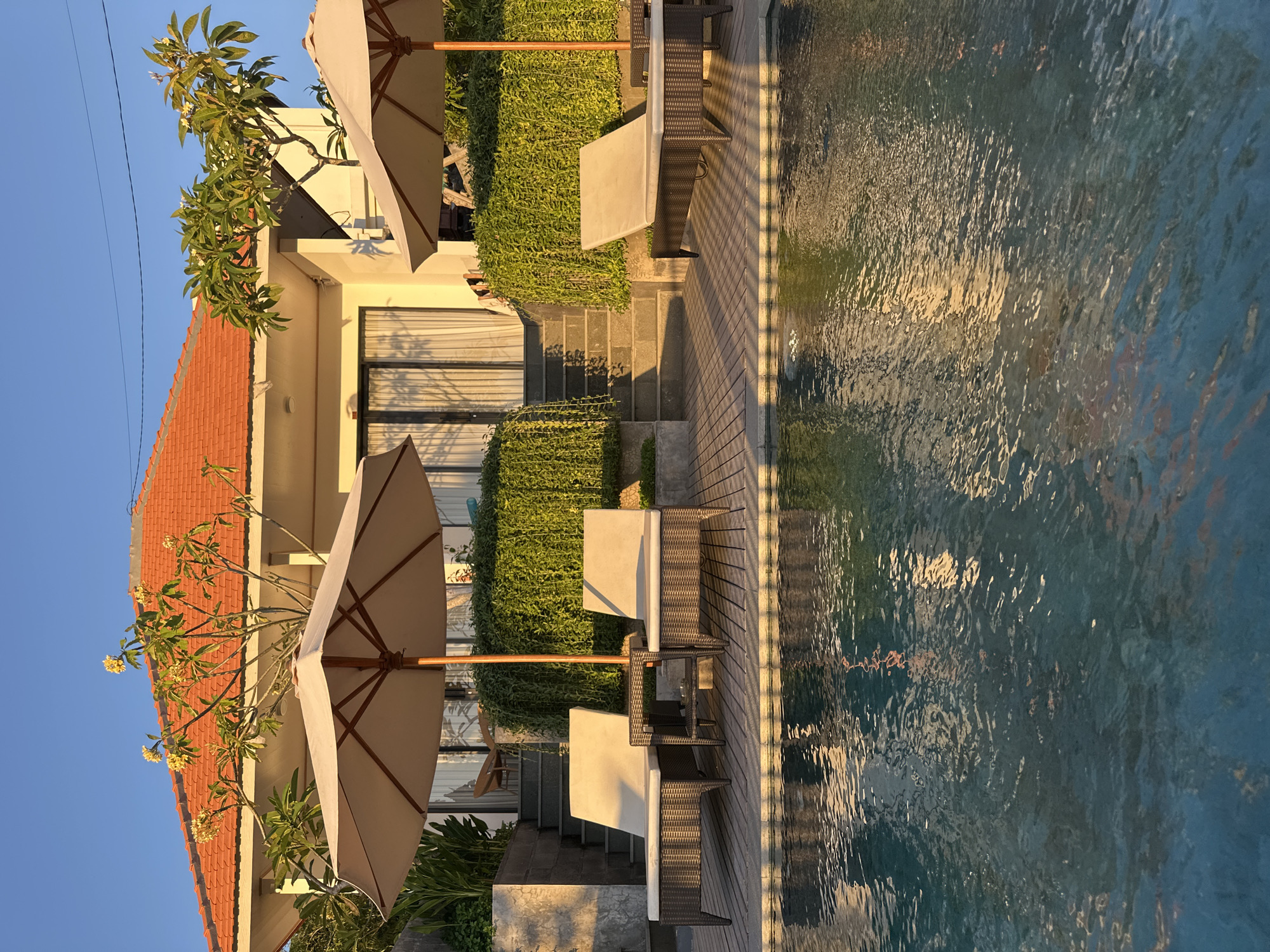 This image depicts a serene poolside scene at a villa in Kuta Selatan, Indonesia, bathed in the warm glow of the late afternoon sun. In the foreground, the clear blue water of a swimming pool reflects the golden light, with gentle ripples disturbing the surface. Beyond the pool, a wooden deck hosts three inviting lounge chairs with beige cushions, two accompanied by a small dark wicker table. Two large beige patio umbrellas, supported by wooden poles, provide shade over the loungers. Behind the deck, a vibrant green hedge forms a lush backdrop, with steps leading up to a white villa. The villa features a distinctive orange-tiled roof and a glass-paneled door. A frangipani tree, adorned with yellow blossoms, stands in front of the villa, its branches reaching towards the clear blue sky. The overall impression is one of tranquility and tropical relaxation.