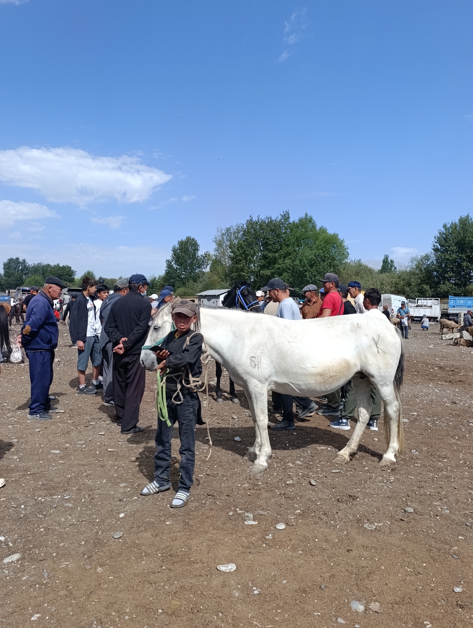This is a horizontal, eye-level, outdoor, daytime photograph of a livestock market, likely in At-Bashy, Kyrgyzstan. The foreground is dominated by a white horse being held by a young boy wearing a dark baseball cap, dark long-sleeved shirt, dark pants, and striped sandals. The boy is looking at his phone. The horse has a green rope tethering it, and a faint "SH" marking is visible on its flank. Behind the boy and horse, a crowd of men and boys of varying ages are gathered. Many are dressed in casual attire, with some wearing hats or caps. Several men are observing the horse, and there appears to be a transaction or discussion taking place. In the background, more people, vehicles, and tents are visible, suggesting a bustling market environment. The ground is a mix of dirt and gravel. Trees line the horizon under a bright blue sky with scattered white clouds. The overall scene depicts a typical rural market day in Central Asia.