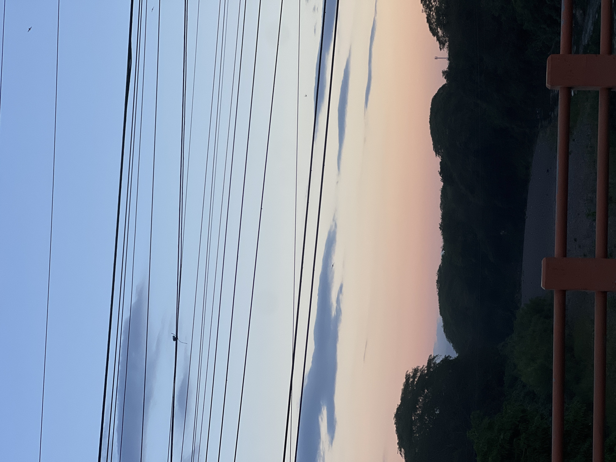 The image depicts a serene sunset scene in San Miguel, El Salvador. In the foreground, an orange railing frames a view of lush green trees and a dry riverbed. The sky transitions from a pale blue at the top to soft hues of pink and orange near the horizon, suggesting the setting of the sun. Several power lines crisscross the sky, with a small bird perched on one of them. The silhouettes of trees line the horizon, adding depth to the landscape. The overall impression is one of tranquility and natural beauty, with the infrastructure of power lines serving as a subtle reminder of human presence.