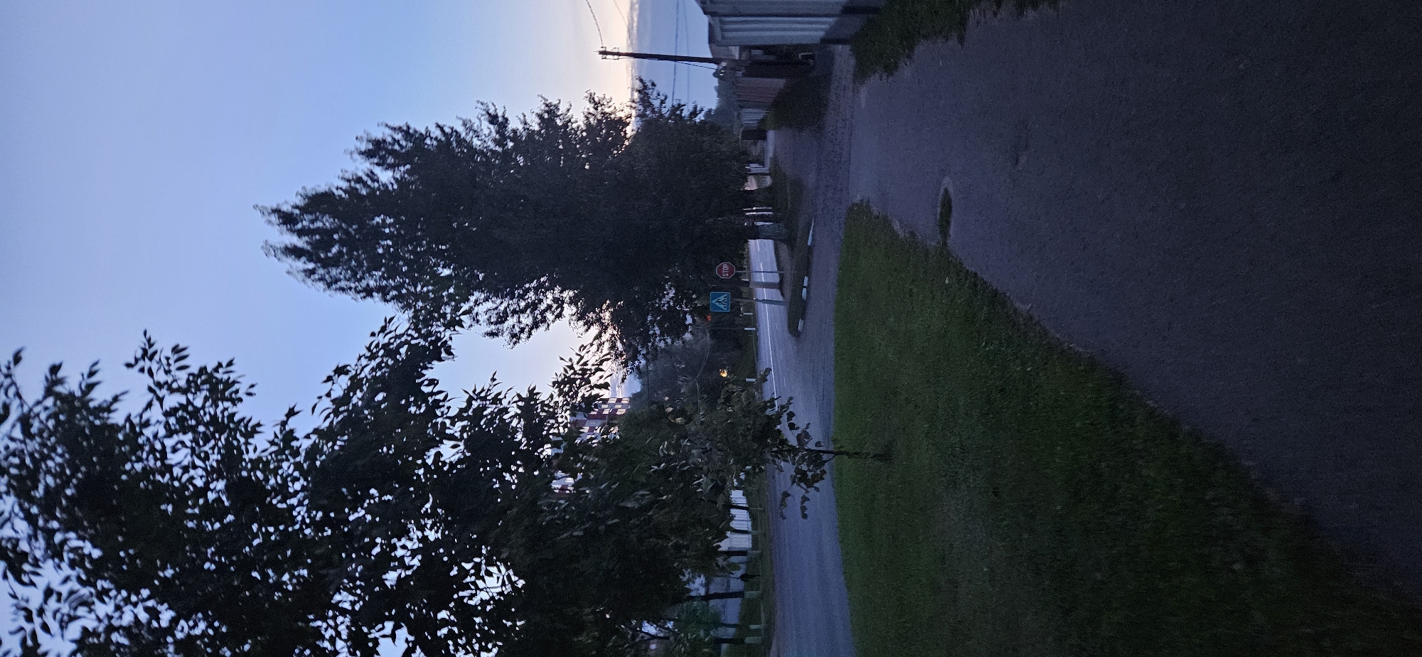 The image depicts a street scene at dusk in Vitebsk, Belarus. On the left side of the frame, a large tree with dark foliage dominates the foreground, with its branches obscuring the sky. A small tree stands in a patch of grass in the middle ground. The street curves to the left, and a sidewalk runs along the right side of the image. A pedestrian crossing and a STOP sign are visible at the intersection in the middle ground. The sky is a pale blue with hints of pink and orange near the horizon. In the distance, a tall, multi-story building with illuminated windows is visible. The overall atmosphere is quiet and serene, with the fading light casting long shadows.