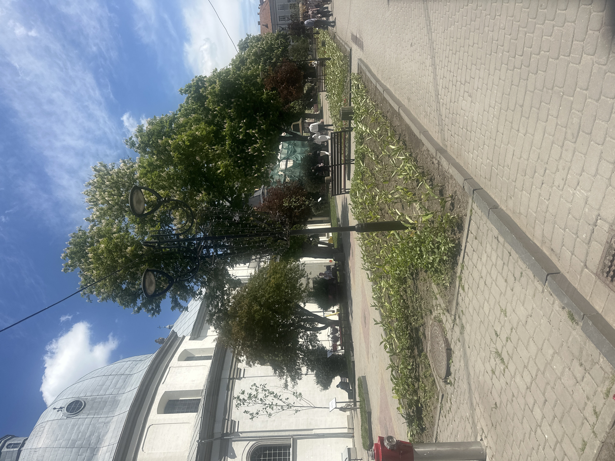 The image shows a street scene in Ternopil, Ukraine, featuring a paved walkway with a narrow garden bed along one side. Several trees line the walkway, casting shadows on the ground. Benches are visible along the path. People are present, some sitting on benches and others walking in the distance. A tall, white building with a domed roof is partially visible on the left side of the image, likely a church or other public building. A streetlight stands near the building. A red fire hydrant is present near the walkway. The sky is blue with scattered clouds.