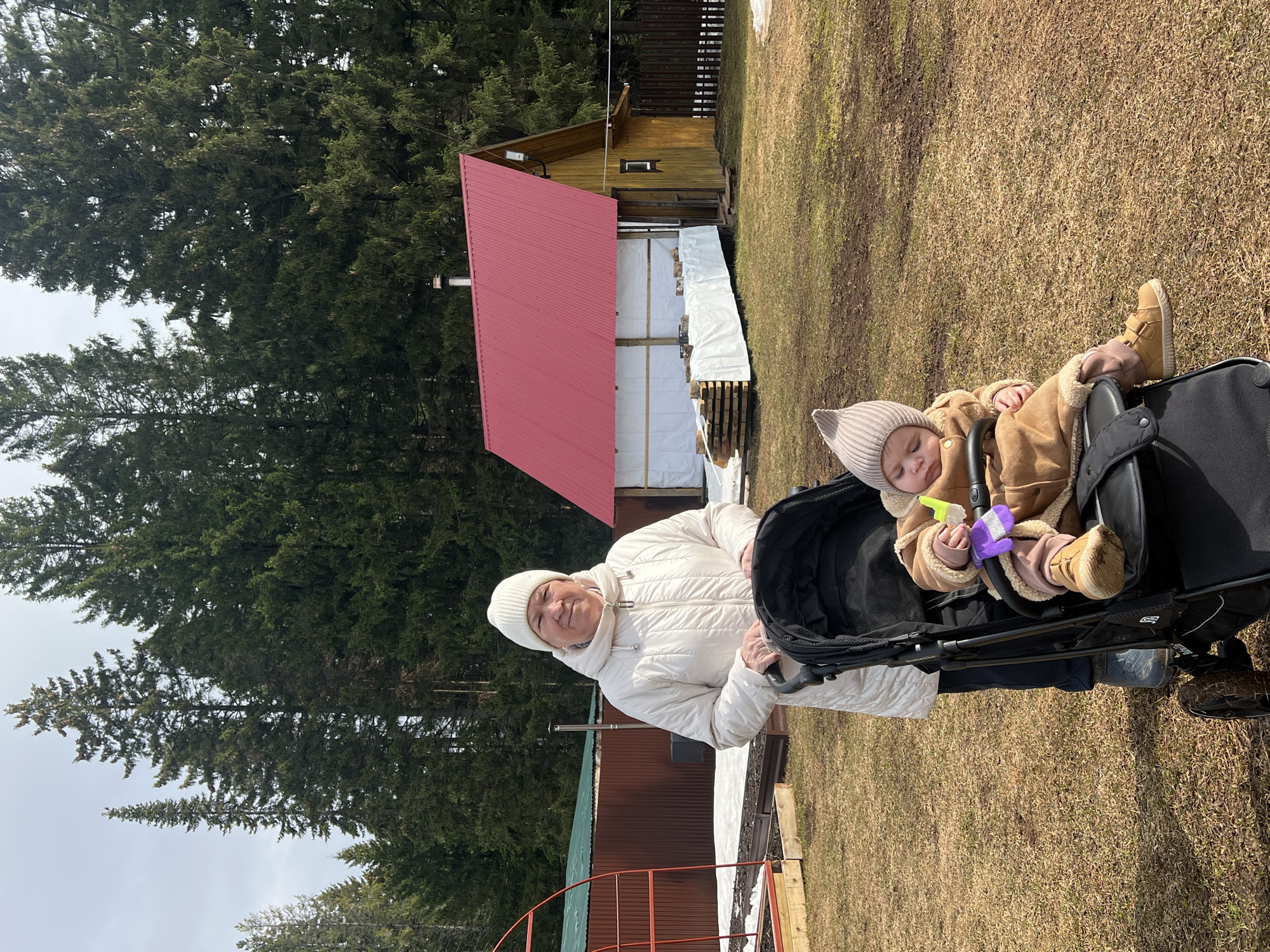 A woman is standing outside, pushing a baby in a stroller. The baby is asleep, holding a toy. Behind the woman and the stroller is a lawn with grass and trees, as well as a cabin with a red roof. The image was taken in Bol'shakino, Russia.