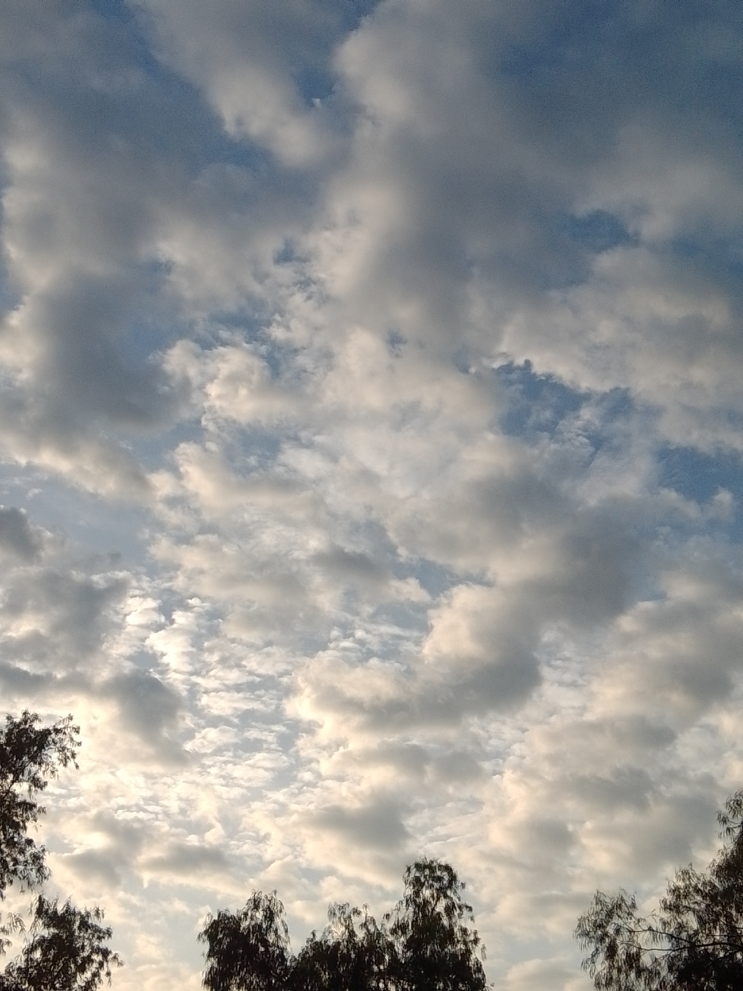 A sky filled with a mixture of white and gray clouds is visible above a line of trees. The trees are dark silhouettes against the lighter sky. The image was captured in Howayi, Nigeria.