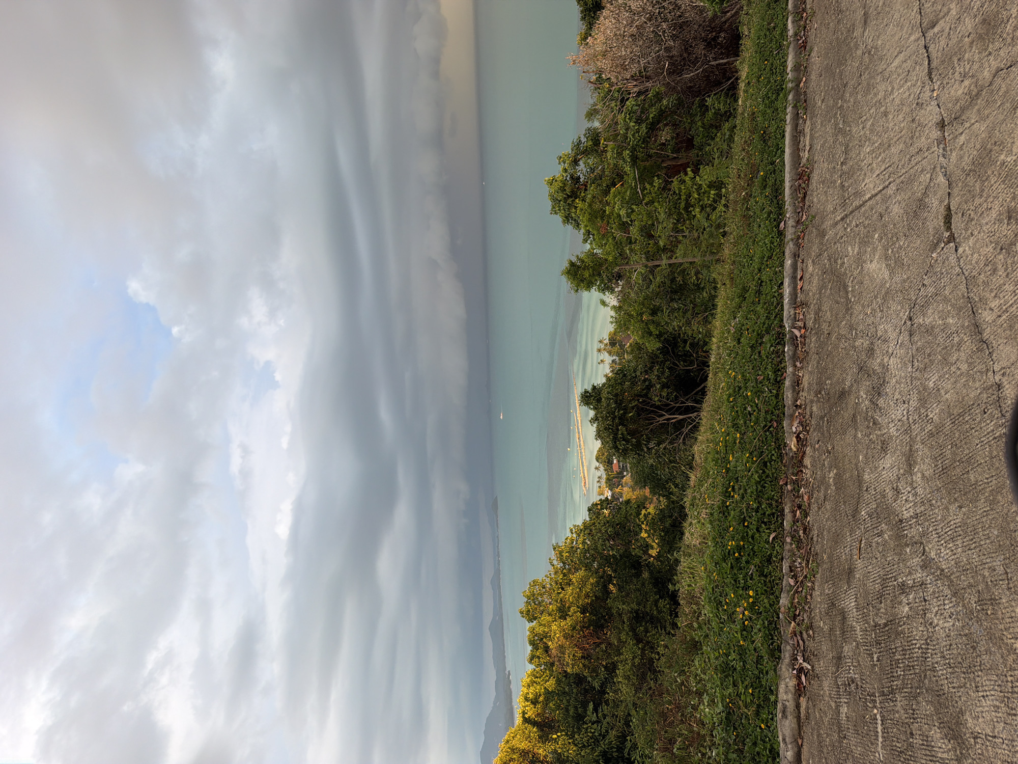 The image displays an elevated, scenic view of the ocean and coastline, possibly near Baan Thong Po, Thailand. A concrete road or pathway occupies the foreground, bordered by dense green foliage and vegetation, dotted with small yellow flowers. Beyond the greenery, the turquoise ocean stretches towards the horizon, meeting a sky filled with dramatic, layered clouds. A long pier or jetty extends into the water from the distant coastline, and a small boat is visible on the water. The overall atmosphere is one of natural beauty with signs of human presence through the pathway and pier.