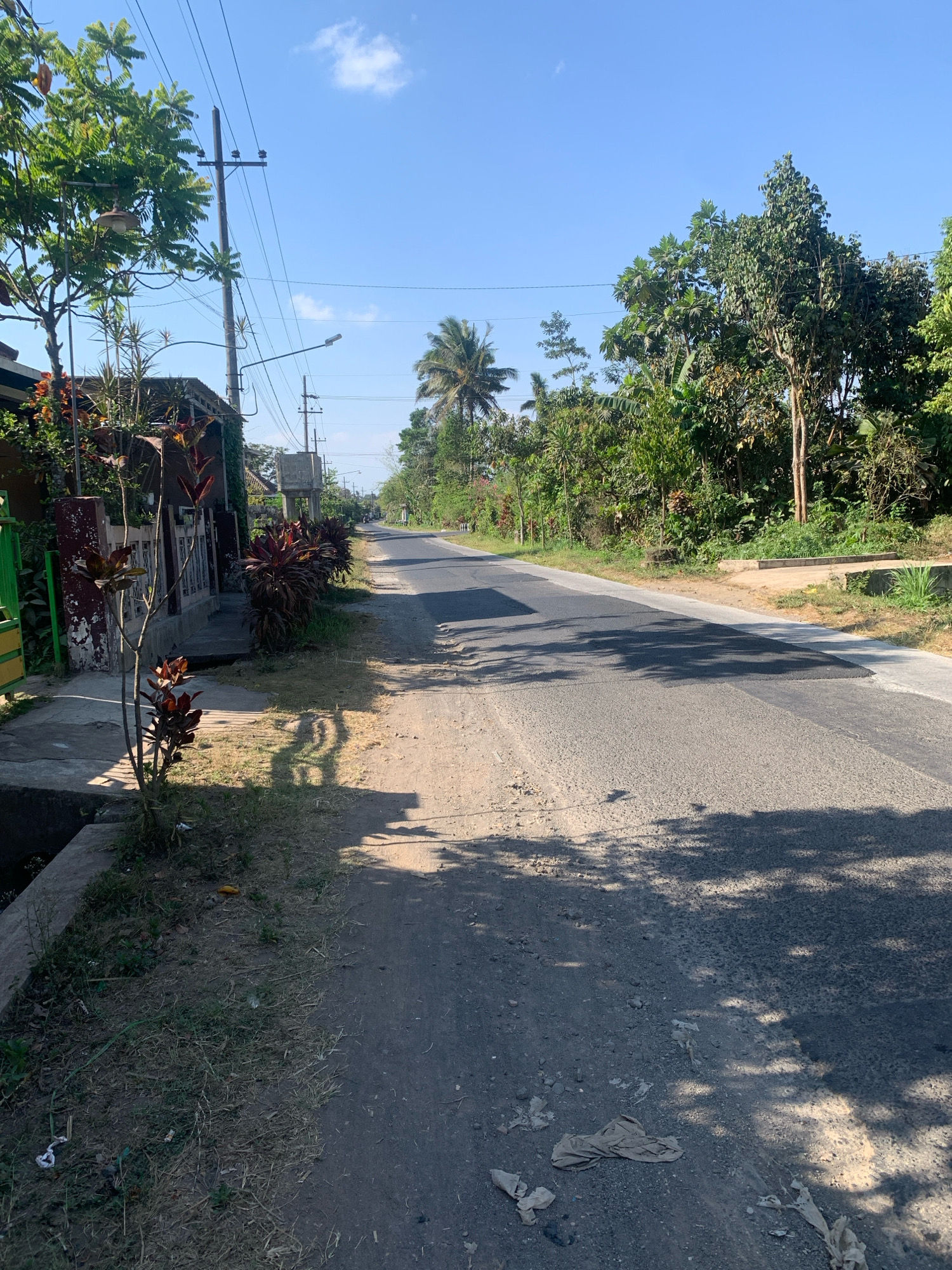 The image depicts a street scene in Sukonolo, Indonesia, on a clear, sunny day. The road, which appears to be asphalt, runs through a residential or semi-rural area, lined with trees and vegetation. On the left side of the road, there are houses with fences and gardens. Some of the plants have dark red foliage. Utility poles with power lines and streetlights are visible along the road. The right side of the road is bordered by lush greenery and trees. Shadows from the trees are cast across the road, indicating the time of day. There are scattered pieces of litter on the side of the road. The sky is a bright blue with a few small white clouds.