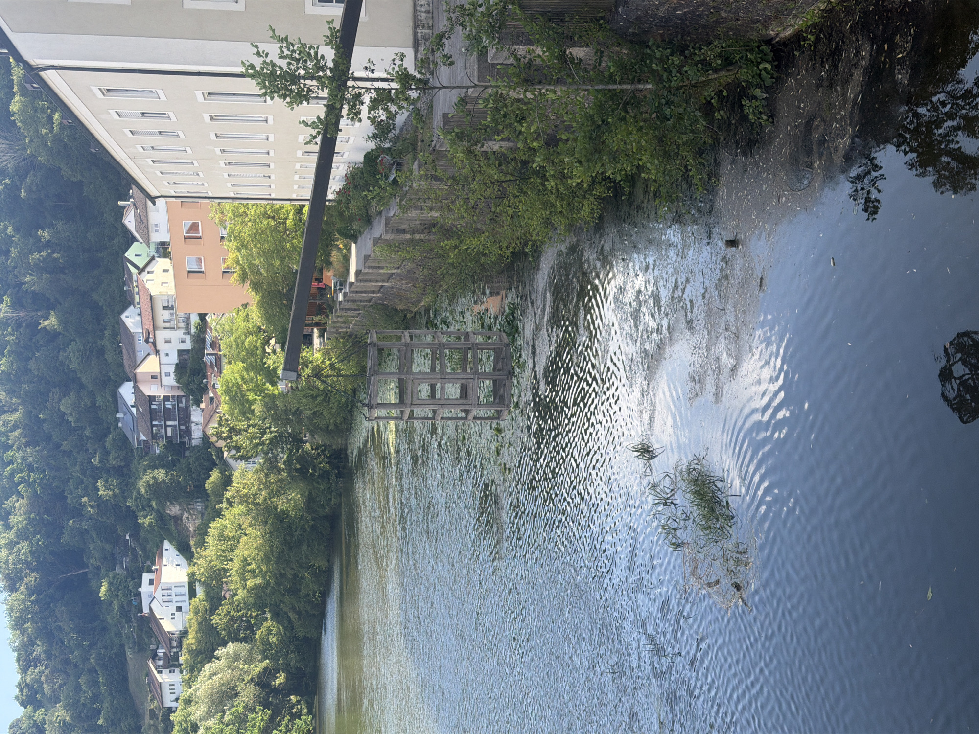 The image shows a view across a river towards a town situated on a hillside. In the foreground, the river is calm with some aquatic vegetation and debris along the right bank. A concrete wall with railings and small trees lines the riverbank. To the right, a multi-story building with numerous windows is visible. On the hillside in the background, houses with various colored roofs and facades are nestled among lush green trees. A suspended wooden structure hangs over the water from a dark pipe extending from the building on the right. The scene appears to be in Eichstätt, Germany, given the architectural style of the buildings and the natural landscape. There are no people visible in the image.