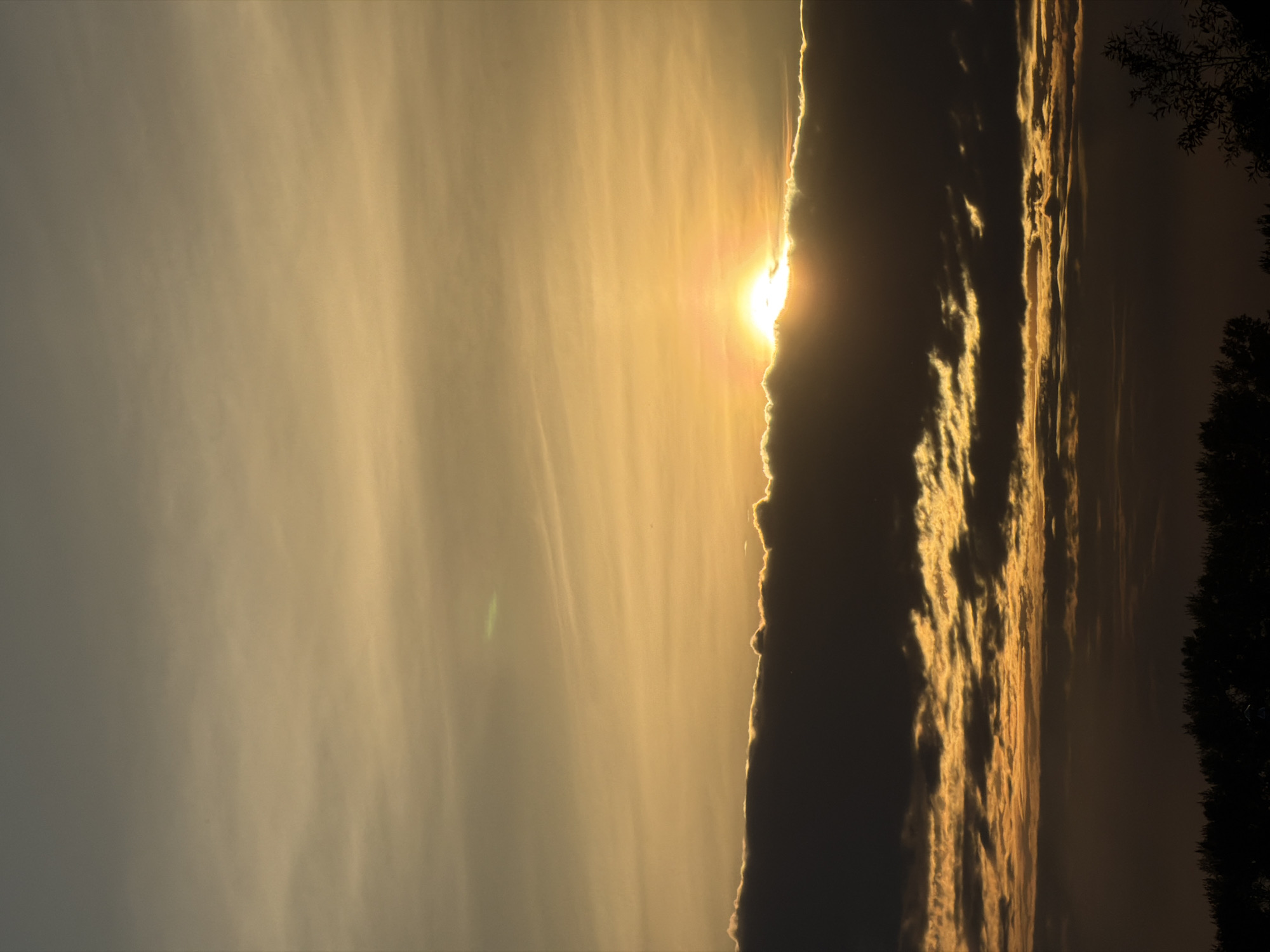 This is a vertical, high-angle photograph of a dramatic sunset over a rural landscape in Shmidtovo, Russia. The sun, a bright orb with visible rays, is partially obscured by a thick band of dark clouds, creating a striking contrast between light and shadow. The clouds are illuminated from behind, with their edges glowing in warm hues of yellow and orange, while their undersides are deep in shadow. Streaks of lighter clouds are visible in the sky, extending from the sun towards the left of the frame, creating a textured, painterly effect. The overall atmosphere is one of awe and natural beauty, with the setting sun evoking a sense of peace and wonder.
To the right of the frame, dark silhouettes of trees are visible, hinting at a forested area bordering the open sky. The lighting suggests it is late evening, just as the sun is setting. There are no people or man-made objects clearly visible in the scene, focusing the viewer's attention entirely on the celestial display and the natural environment. The sky itself transitions from a pale yellow near the sun to a muted gray towards the left, with subtle wisps of clouds scattered throughout.