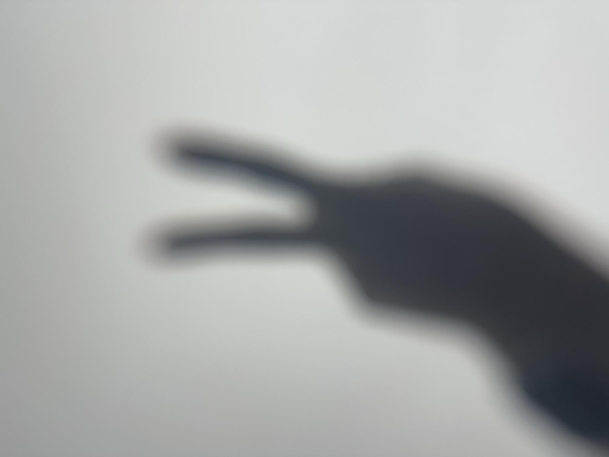 A blurred, dark shadow of a hand is cast on a pale, textured surface, likely a wall or screen. The shadow depicts a V-sign gesture, formed by the index and middle fingers extended upwards and apart, while the other fingers appear to be curled downwards. The thumb is not clearly discernible but is implied to be near the base of the curled fingers. The lighting source creating the shadow is not visible, but it is positioned to cast a relatively large and soft-edged shadow. The background is uniform and lacks any discernible features, suggesting an indoor or controlled environment. The image is abstract due to its blurriness and the nature of the shadow.