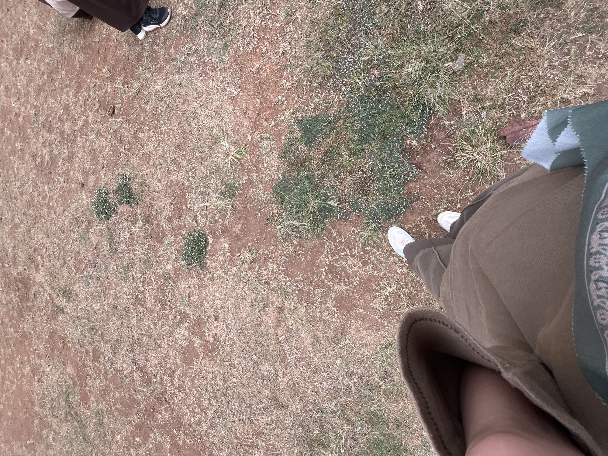 The image is an overhead, high-angle shot of a person's legs and feet standing on dry, brown ground with sparse patches of green grass and small white flowers. The person is wearing brown pants and white sneakers. The ground appears to be a natural area, possibly a field or park, with some scattered debris. The lighting suggests it is daytime. The location is identified as Gembong, Indonesia, though there are no specific landmarks visible to confirm this. There are hints of other individuals or their clothing in the upper right portion of the image. The scene is focused on the ground and the lower extremities of the person.
