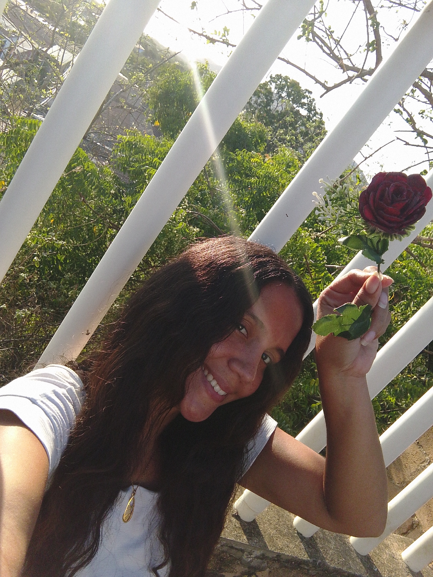 This sun-drenched, low-angle selfie captures a smiling woman outdoors in Juan Griego, Venezuela. The primary subject is a woman with long, dark, wavy hair, wearing a white t-shirt and a golden, leaf-shaped pendant necklace. She holds a dark red, artificial-looking rose with a small white floral accent in her right hand, positioning it above her head.
The scene is framed by several white, diagonal balusters, suggesting she is on a balcony, terrace, or elevated platform. Behind her, lush green trees and foliage are visible, indicating a vibrant natural environment. Hints of structures and possibly a road can be seen in the blurred background beyond the immediate greenery.
Bright sunlight streams from the top left, creating prominent lens flares across the upper portion of the image, enhancing the cheerful mood. The woman's wide smile conveys happiness and relaxation. The image depicts a clear, sunny day, likely during the morning or early afternoon due to the strong sun intensity. No text is visible in the media file.