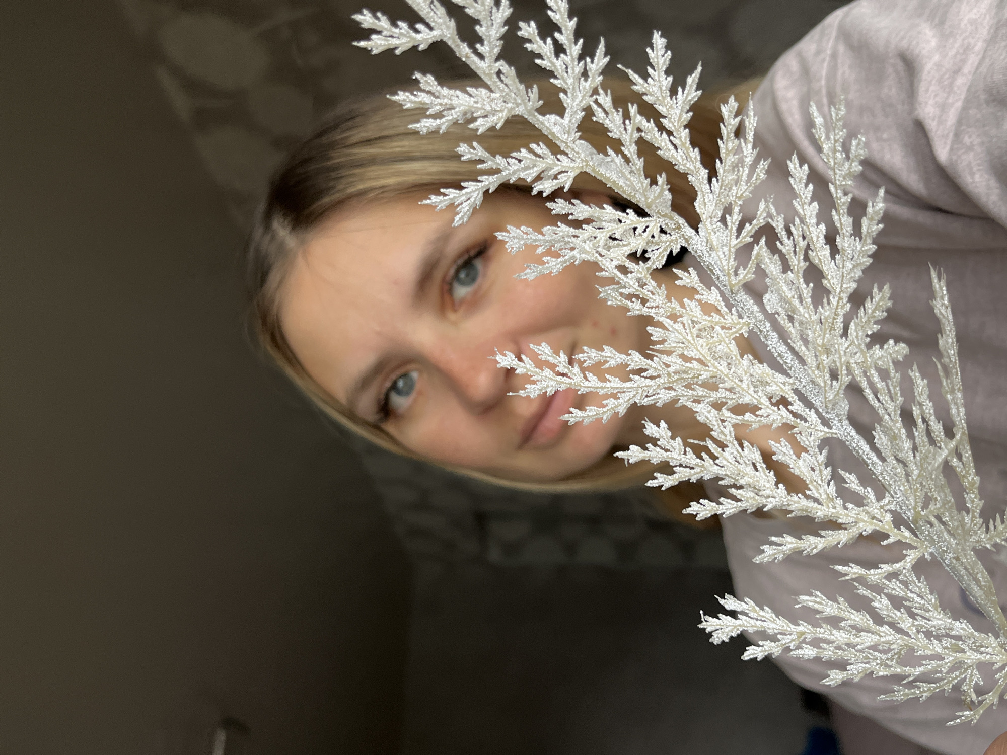 A close-up portrait features a young woman partially obscured by a prominent, white, glittery artificial branch. The woman has blonde hair and striking blue eyes, which are in focus and look directly at the viewer. Her face is slightly blurred in areas, with a neutral to gently contemplative expression. A large, fern-like decorative branch, covered in white glitter, dominates the foreground, artistically concealing parts of her face and body. She appears to be wearing a light-colored, long-sleeved top or sweater.
The background is dark and indistinct, suggesting an indoor setting with subdued lighting. Faint patterns or textures are visible on what might be a wall. The composition is angled, with the camera looking slightly down at the subject. The bright, sparkling white of the artificial branch creates a strong visual contrast against the darker background and the woman's soft tones. There is no visible text in the image. The setting is indoors in Chaikovsky, Russia.