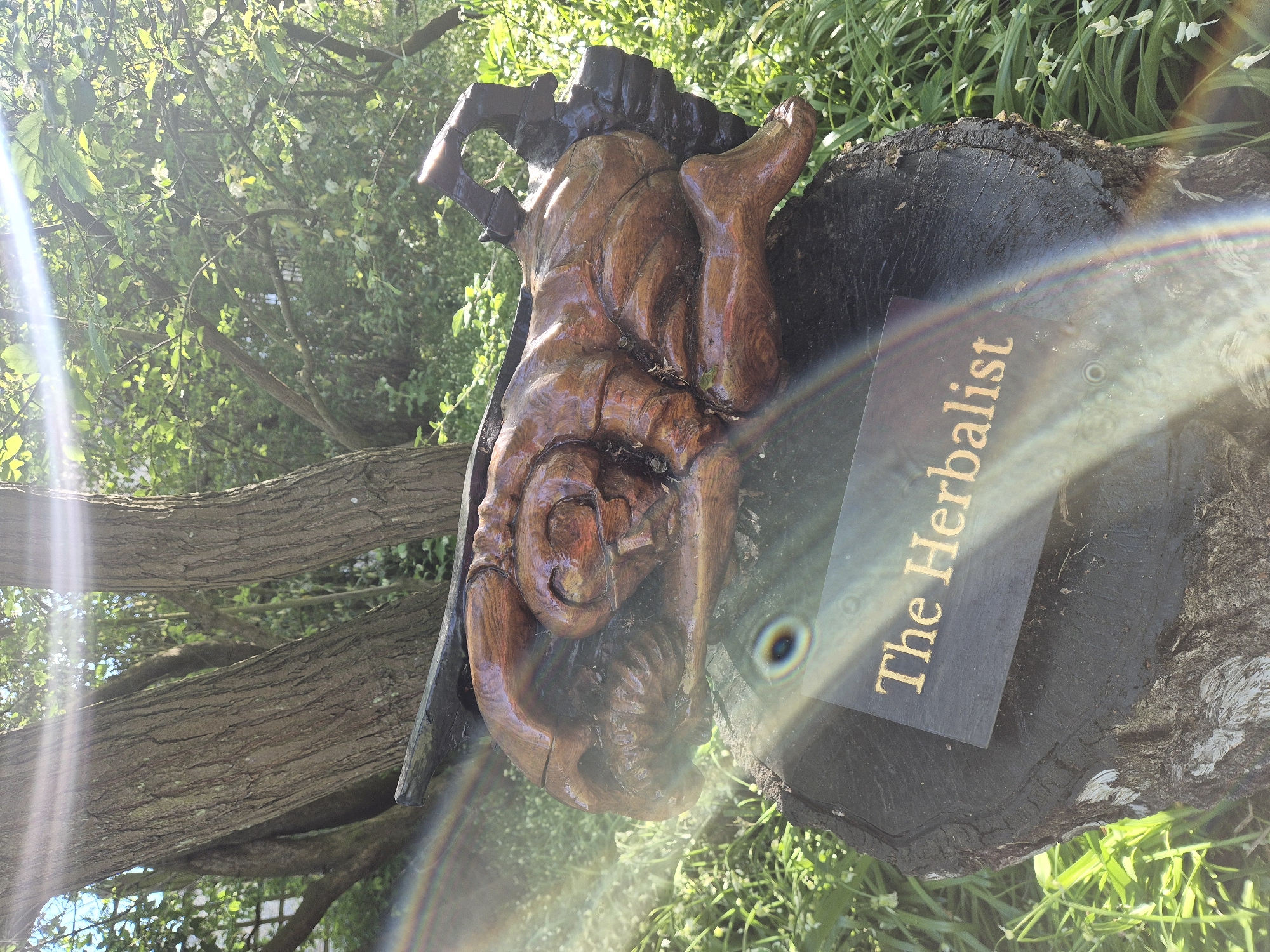 The image features a wooden sculpture titled "The Herbalist," located in West Suffolk, United Kingdom. The sculpture depicts a person carved from wood, mounted on a tree stump. A plaque bearing the sculpture's name is affixed to the stump. The sculpture is positioned in an outdoor setting, surrounded by greenery and trees. The lighting suggests a sunny day, with a visible rainbow-like flare in the foreground.