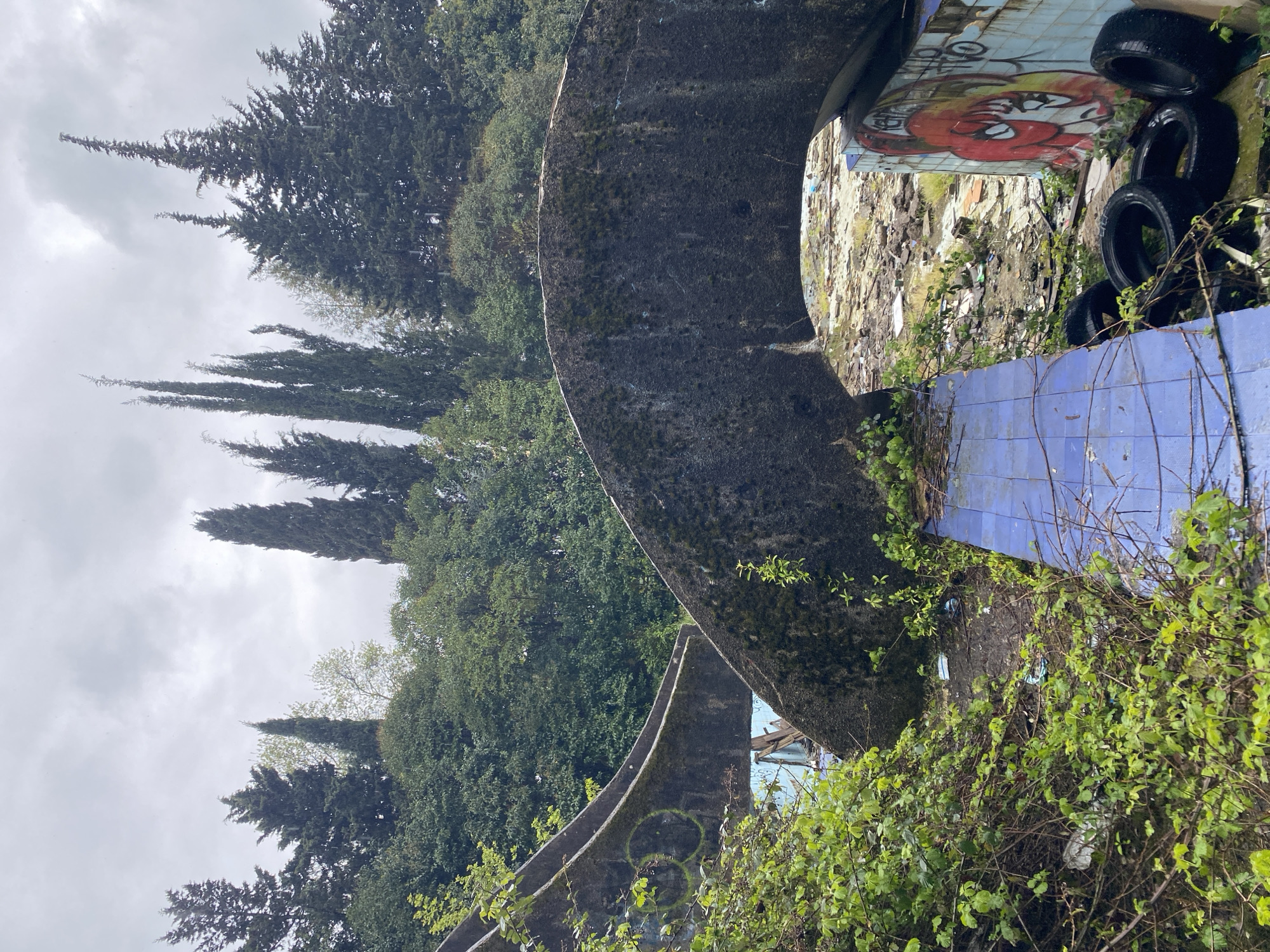 The image, when viewed in its correct landscape orientation, depicts an abandoned and overgrown concrete structure, likely a former water slide or an element of a recreational park, set against a backdrop of dense forest and a cloudy sky in Sochi, Russia.
Two prominent, curving concrete structures, appearing to be parts of water slide flumes, dominate the scene. They are grey, weathered, and show signs of age, with moss and dirt clinging to their surfaces. One structure arcs across the midground, while another larger, taller one forms a partial tunnel or opening on the right side of the frame. On the lower part of one concrete structure, a green graffiti tag resembling "88" or intertwined "S" shapes is visible.
Within the opening formed by the larger concrete arc, a wall section is visible. Its lower part is covered with blue tiles, while the upper section, made of crumbling material, features colorful graffiti. The most prominent graffiti is a cartoon-like red face with yellow and black outlines. Above it, the word "BOMBS" is discernible in black letters, along with other indistinct tags. Near this wall and the base of the concrete structures, several black vehicle tires are scattered or stacked. The ground in these areas is littered with debris and rubble, reinforcing the sense of neglect.
Vibrant green vegetation, including thick vines and bushes, heavily overgrows the foreground and lower sections of the concrete structures, starting to reclaim the man-made elements. In the background, a lush canopy of trees extends across the image. Tall, dark green coniferous trees, possibly cypresses, are prominent, interspersed with other deciduous trees.
The sky is overcast and uniformly grey, suggesting a cloudy daytime scene with no direct sunlight. The overall impression is one of decay and nature's gradual reassertion over a forgotten man-made recreational facility.