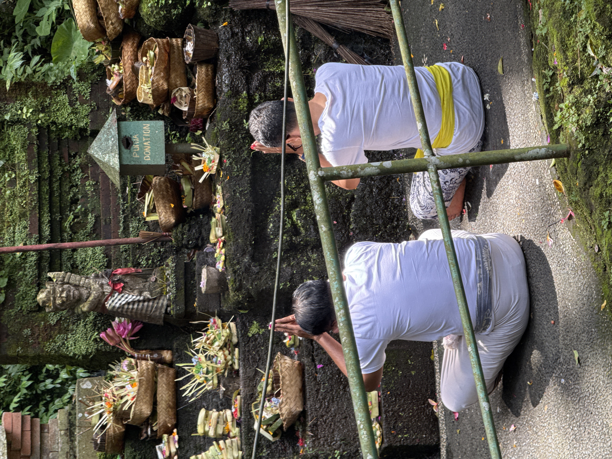 Two individuals are kneeling in prayer at a temple in Tegallalang, Indonesia. The individuals are wearing white shirts. The individual in the foreground has white trousers and a white sash. The individual in the background has patterned trousers and a yellow sash. They are kneeling on a stone pavement. A metal railing is in the foreground between the viewer and the individuals. A stone wall adorned with statues, offerings in woven baskets, and a donation box is visible behind them. The scene is surrounded by lush vegetation and moss-covered surfaces.