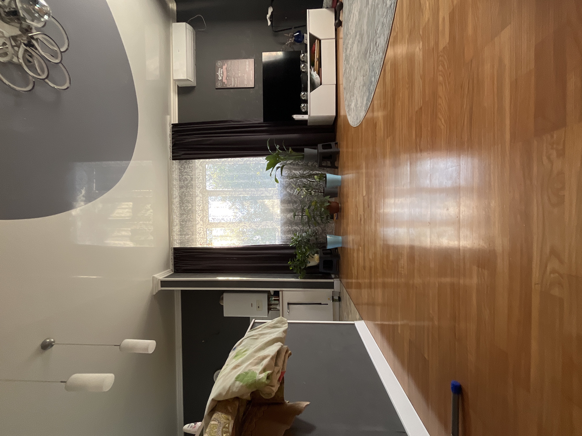 The image shows an indoor scene, likely a living room, with polished wooden floors and dark gray walls. In the background, a large window is covered by sheer patterned curtains and dark drapes, allowing sunlight to filter through. Several potted plants are arranged near the window.
To the left, a white appliance, possibly a water heater, is partially visible. A corner of a piece of furniture draped with a patterned blanket is also present.
In the center of the room, a white media console holds a television and decorative items. An air conditioning unit is mounted on the wall above it. A blue and gray circular rug is partially visible in the foreground.
The ceiling is multi-leveled with a glossy white finish and a dark gray accent. Two pendant lights hang from the ceiling.
The scene appears to be located in Saratov, Russia.