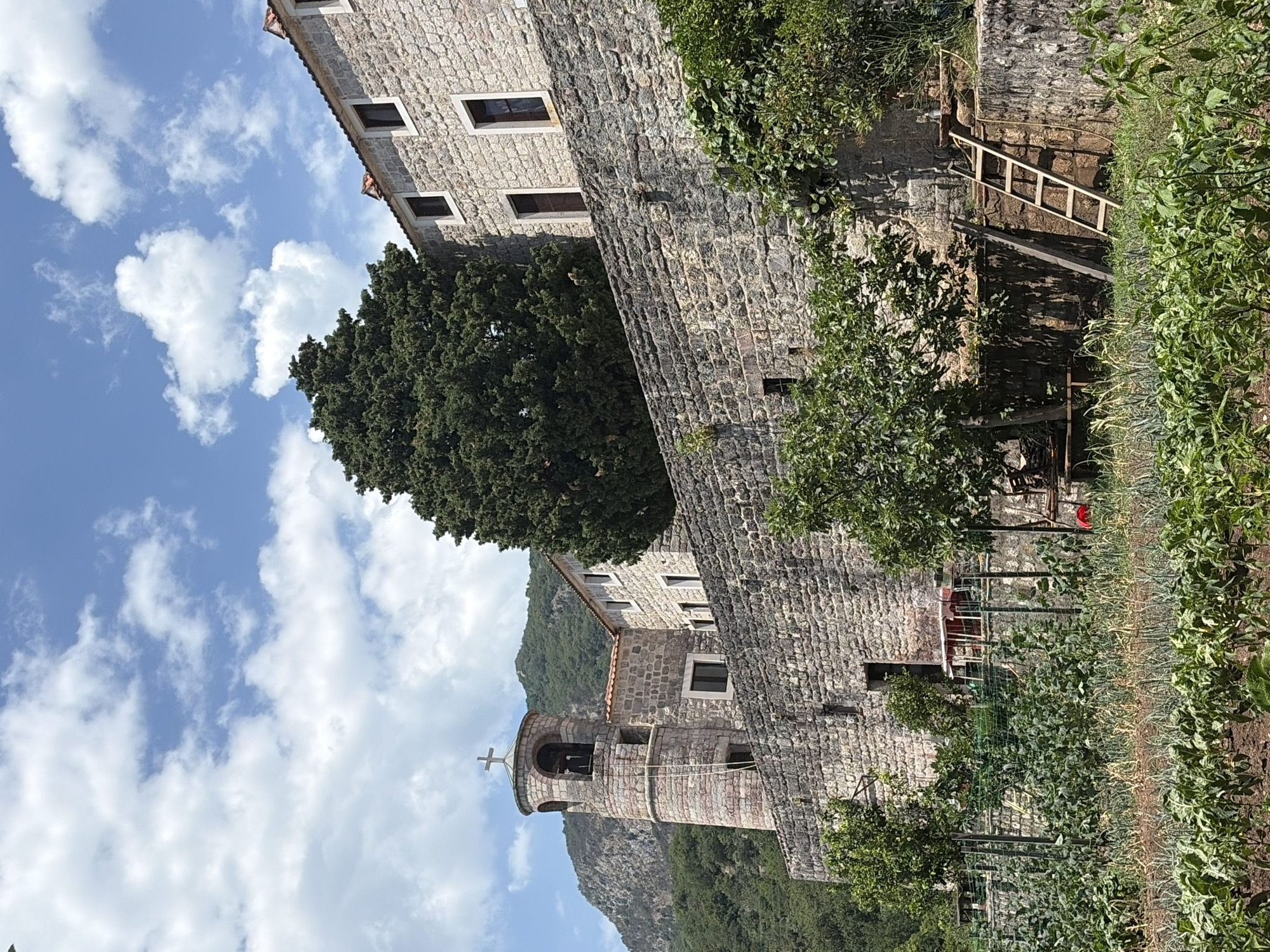 The image depicts a stone-built complex with a bell tower topped with a cross, situated on a hillside. The architecture suggests a historical or religious site, possibly a monastery or church, consistent with locations in Budva, Montenegro, known for its ancient structures and religious heritage. In the foreground, a lush garden or agricultural plot is visible, with rows of plants and green foliage. The scene is bathed in natural daylight under a partly cloudy sky, with the surrounding landscape featuring hills covered in dense greenery. A wooden ladder leans against a stone wall in the middle ground, suggesting ongoing work or access to an upper level. The overall impression is one of a tranquil and historic setting.