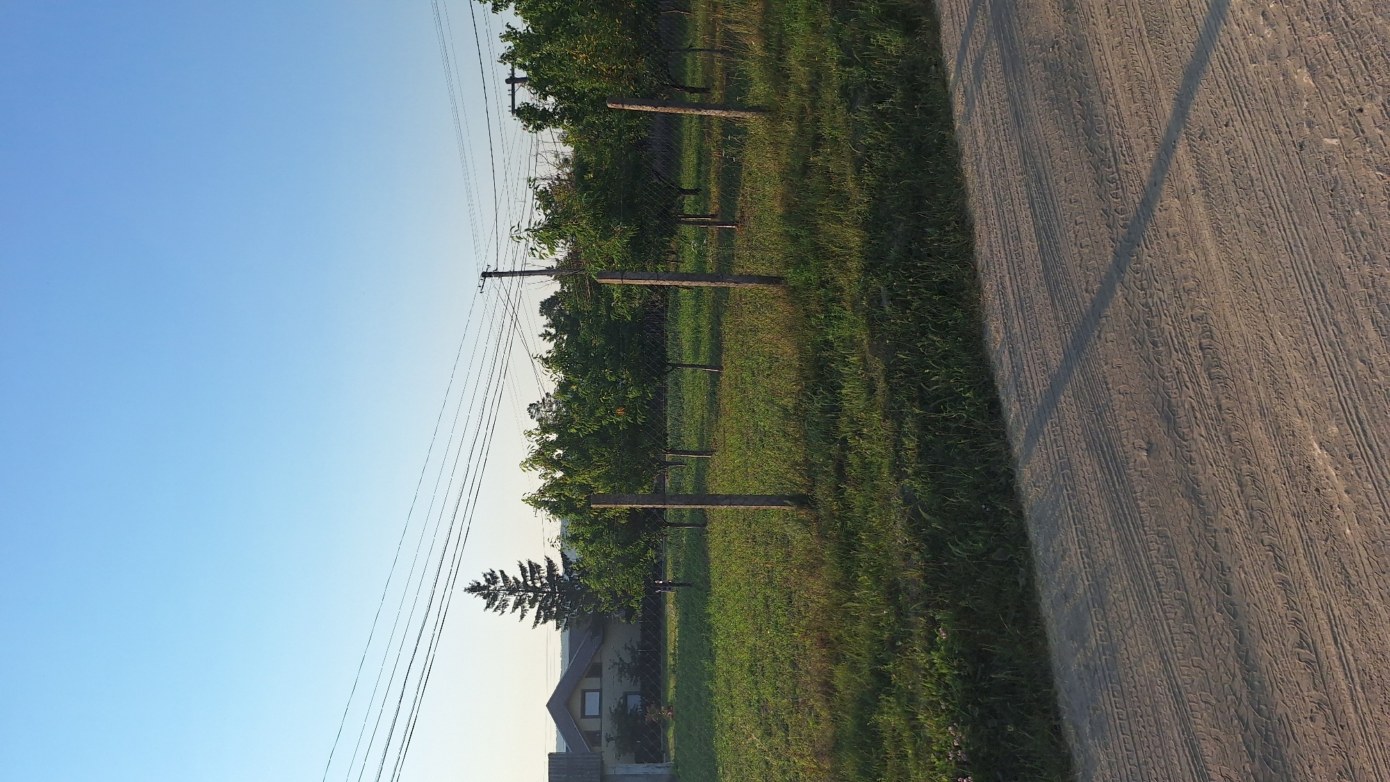 The image depicts a scene in Sărata-Galbenă, Moldova, featuring a rural or semi-rural setting. In the foreground, a dirt road with tire tracks is visible, suggesting vehicle activity. Beyond the road, a grassy area is present, bordering a fence made of concrete posts and wire mesh. Inside the fenced area, several young trees are planted in a row, appearing to be an orchard or garden. In the background, a house with a sloped roof and a visible window can be seen, along with a tall evergreen tree. Overhead, power lines stretch across the frame, supported by utility poles. The sky is clear and blue, indicating fair weather.