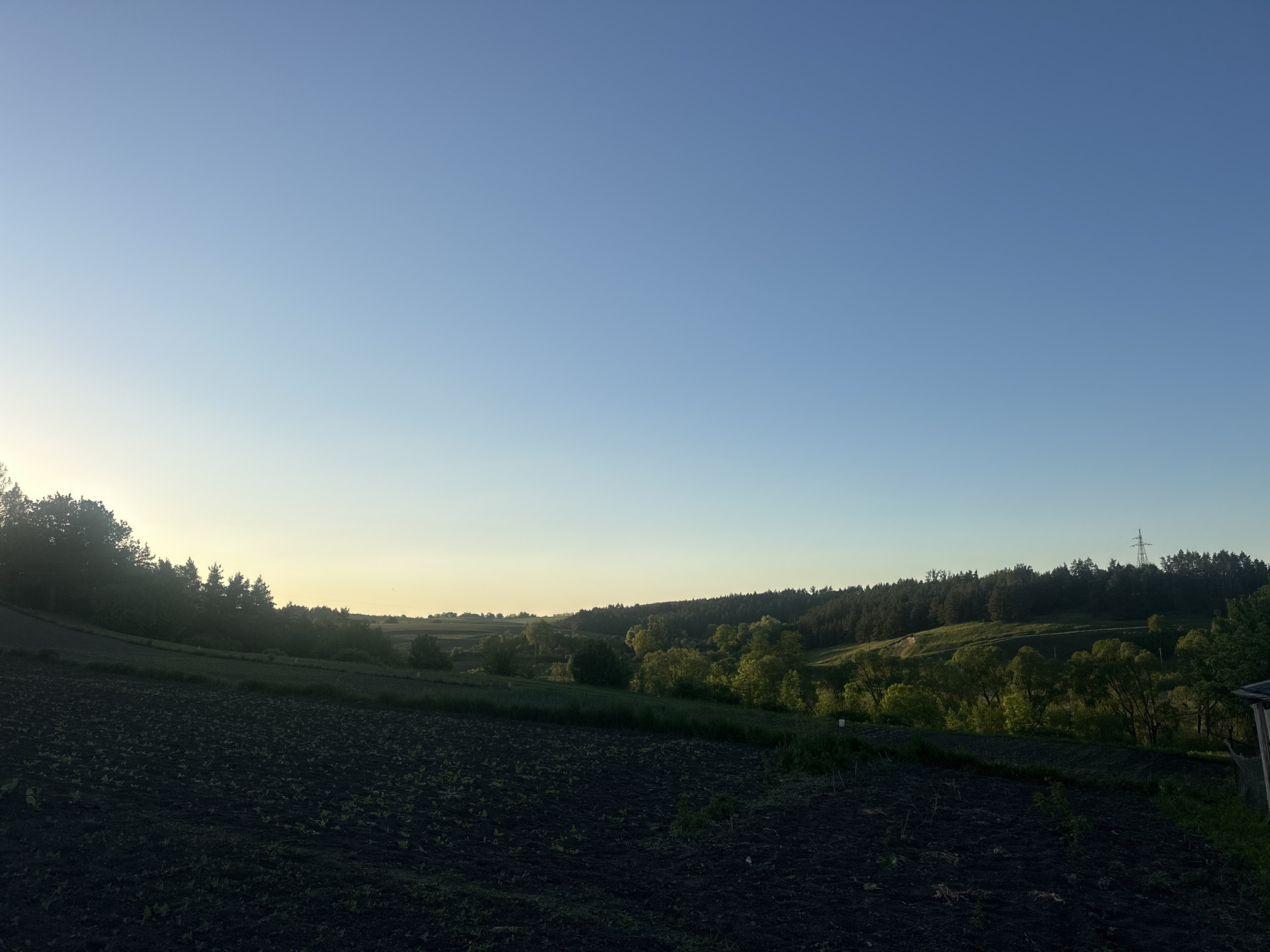 The image shows a rural landscape in Pakhynia, Ukraine, during the early morning or late evening. A dark, cultivated field occupies the foreground with sparse sprouts emerging from the soil. Beyond the field, a rolling landscape is visible with trees, bushes, and grassy hills. The sky transitions from a pale yellow near the horizon to a light blue overhead. An electrical transmission tower is visible amongst the trees on a distant hill. No people or animals are visible in the scene. The overall impression is one of tranquility and natural beauty.
