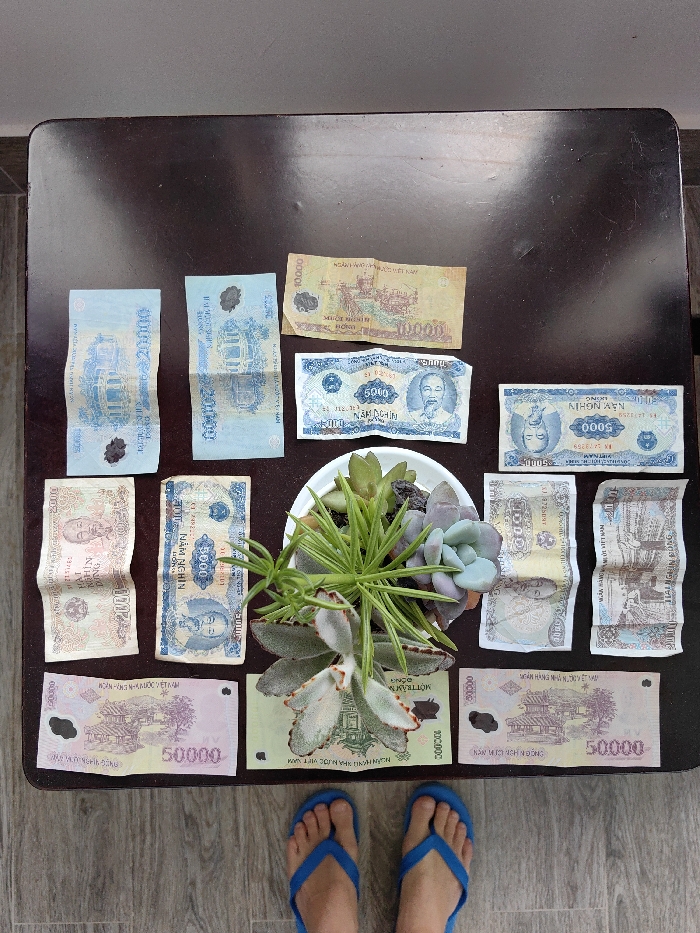 Arranged on a dark brown table are several denominations of Vietnamese currency surrounding a small potted succulent plant. The bills include 50,000, 20,000, 10,000, 5,000, and 2,000 dong notes. At the bottom of the frame are a pair of feet in blue flip-flops. The arrangement suggests a potential connection between the currency and the plant, or simply a collection of items placed together on the table.