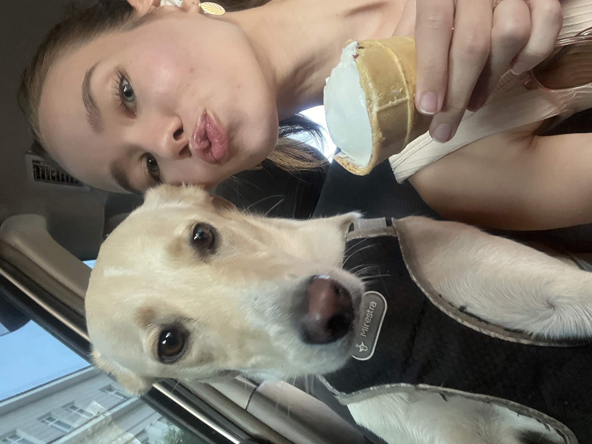This media file shows a young woman and a dog inside a car, likely in Krasnoyarsk, Russia. The woman is in the foreground, leaning in towards the camera with her lips pursed and her tongue sticking out. She is holding a partially eaten ice cream cone. The dog, a light-colored Labrador or retriever mix, is positioned below the woman, looking directly at the camera with its head tilted slightly. The dog is wearing a black vest with a gray trim, and the text "Mirestra" is visible on a label on the vest.
The scene appears to be indoors, as indicated by the car's interior elements like the air vent and a rearview mirror. The lighting suggests it could be daytime, as there's natural light coming through a window, casting reflections on the car's interior and the dog's fur. The woman has a playful and mischievous expression. The overall mood is casual and fun, possibly indicating a shared outing or a moment of interaction between the woman and her pet. No specific weather conditions are discernible, but the interior setting implies protection from any outdoor elements.