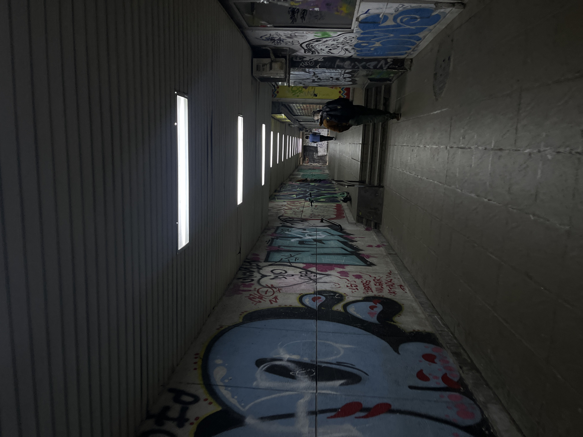 A long, narrow underpass in Sofia, Bulgaria, is depicted. Graffiti covers much of the concrete walls and ceiling. A row of fluorescent lights lines the left wall. Two people walk away from the viewer in the distance.
