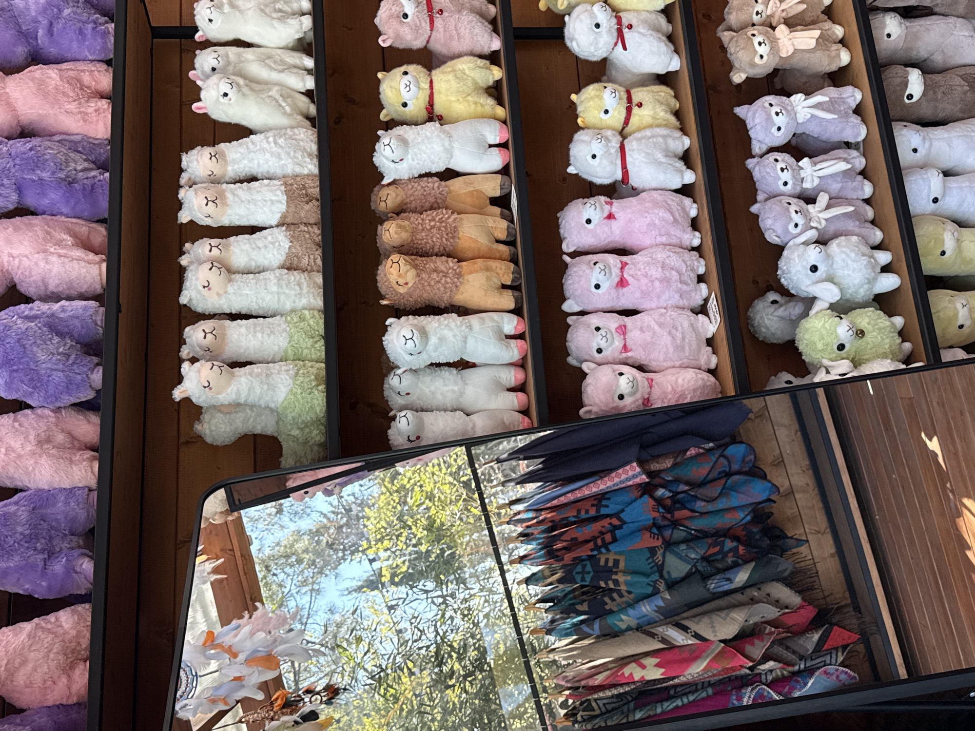 This image captures a vibrant retail display, likely from a souvenir shop or market in Sochi, Russia. The primary focus is on numerous plush toys, predominantly alpacas or llamas, neatly arranged within dark wooden shelving units. These soft toys are showcased in a wide array of colors, including white, pink, yellow, light brown, purple, grey, and light green, suggesting a diverse selection for customers. Many of the toys are elongated, possibly designed as neck pillows or decorative items.
On the far left, rows of similar alpaca-shaped plush items in pink and purple shades are stacked vertically in a separate section. The main display area features multiple horizontal rows of these colorful animal plushies, highlighting their different hues and sizes.
A prominent rectangular mirror, angled in the bottom right of the frame, reflects the exterior environment. Through the mirror, a bright blue sky and lush green trees are clearly visible, indicating a clear, sunny daytime setting. Parts of a wooden structure and some white, feathery ornaments also appear in the reflection.
Below the reflected outdoor scene, within the mirror's view, a stack of folded textiles, likely blankets or shawls, is displayed. These items feature colorful, intricate geometric and tribal-inspired patterns in shades of blue, red, brown, and cream, suggesting local craftsmanship or popular souvenir items.
The scene conveys a welcoming commercial setting, showcasing a variety of soft, appealing merchandise, likely popular with tourists visiting Sochi. The bright outdoor reflection infuses natural light and an open atmosphere into the retail space. No discernible text is visible on any products or displays.