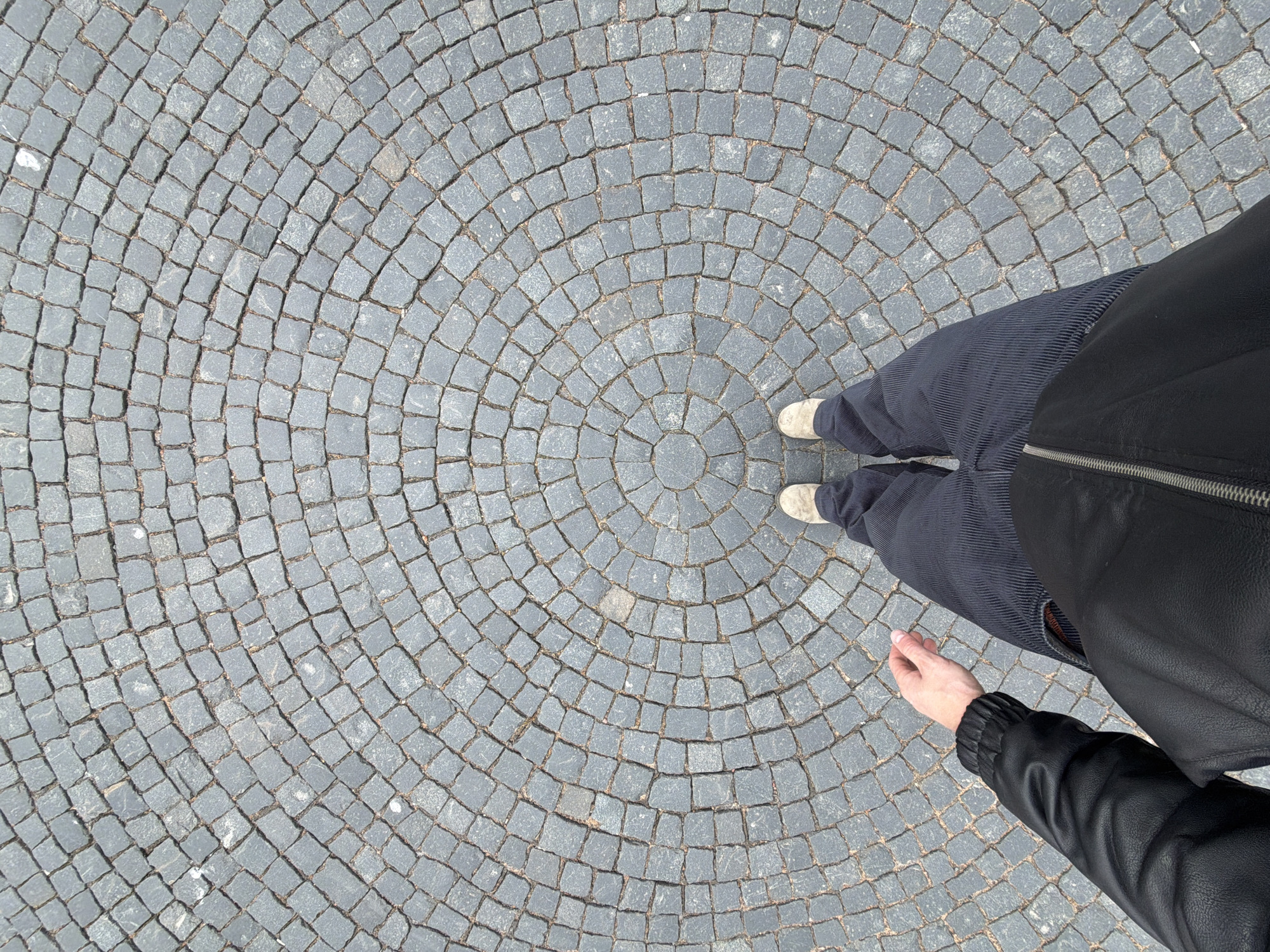 A high-angle, first-person perspective photograph captures a person standing on a patterned cobblestone street in what is indicated to be Saint Petersburg, Russia. The individual's feet, clad in light-colored shoes, are positioned at the center of a striking circular design formed by dark gray cobblestones. The stones are meticulously arranged in concentric rings that radiate outwards, creating an intricate visual pattern beneath the viewer's gaze.
The person is wearing dark, possibly ribbed or corduroy, trousers and a black jacket with a visible silver zipper. A hand, likely the person's own, is visible in the lower right corner, suggesting they are holding the camera. The ground appears dry, and the scene is illuminated by bright, natural light, indicating daytime conditions. There are no notable shadows, suggesting an overcast sky or high noon. The scene depicts a moment of stillness, with the person standing on the unique pavement. No discernible emotions are conveyed, nor is any text visible in the image.