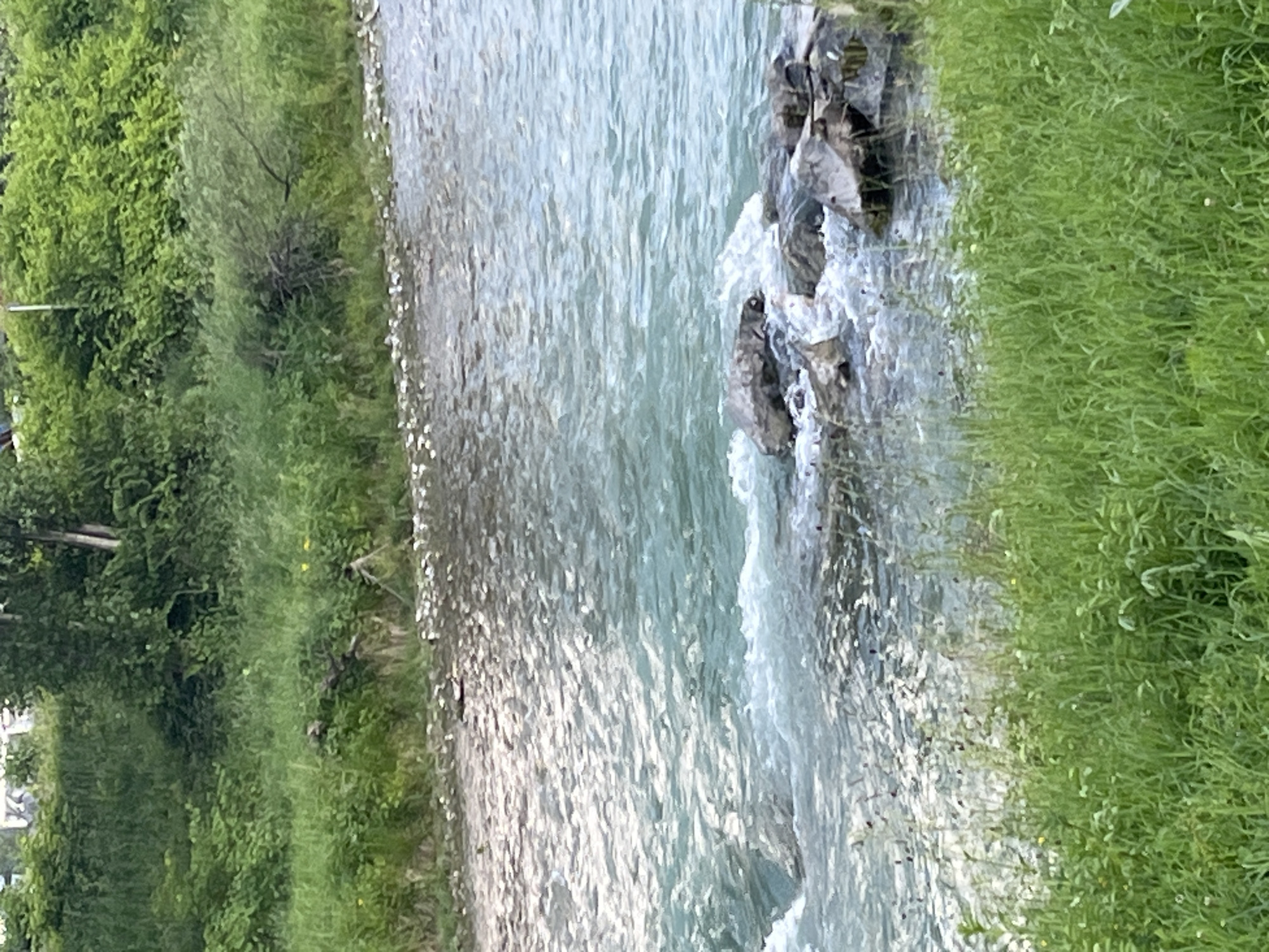 This media file depicts a natural scene featuring a river or stream flowing alongside lush green vegetation. The water is a light, translucent blue-green and appears to be moving swiftly, with white foam and spray around rocks in the foreground. The banks of the water are covered in dense, vibrant green grass and foliage. In the background, more trees and bushes create a verdant landscape. The image has a vertical orientation, suggesting a potentially tall scene or a close-up view of the elements. The lighting suggests it is daytime, with natural light illuminating the scene. There is no visible text in the image. The overall impression is one of a peaceful, natural environment, possibly a park or a natural reserve in Garmisch-Partenkirchen, Germany.