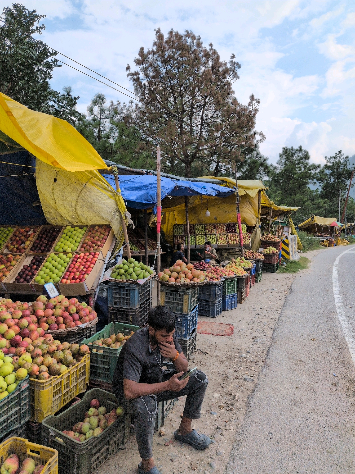 The image depicts a roadside fruit stand in Chattan Seri, India. A man, likely a vendor, is seated on a crate in the foreground, looking at his phone. He is wearing a dark grey t-shirt and dark grey distressed jeans. Behind him, several crates overflow with various types of apples and other fruits, arranged under yellow and blue tarpaulin awnings that provide shade. The fruit stand appears to be set up along a paved road with a white line marking the edge. In the background, a line of similar fruit stands extends further down the road, with trees and a cloudy sky overhead. The overall scene is one of a typical rural market setting in India.