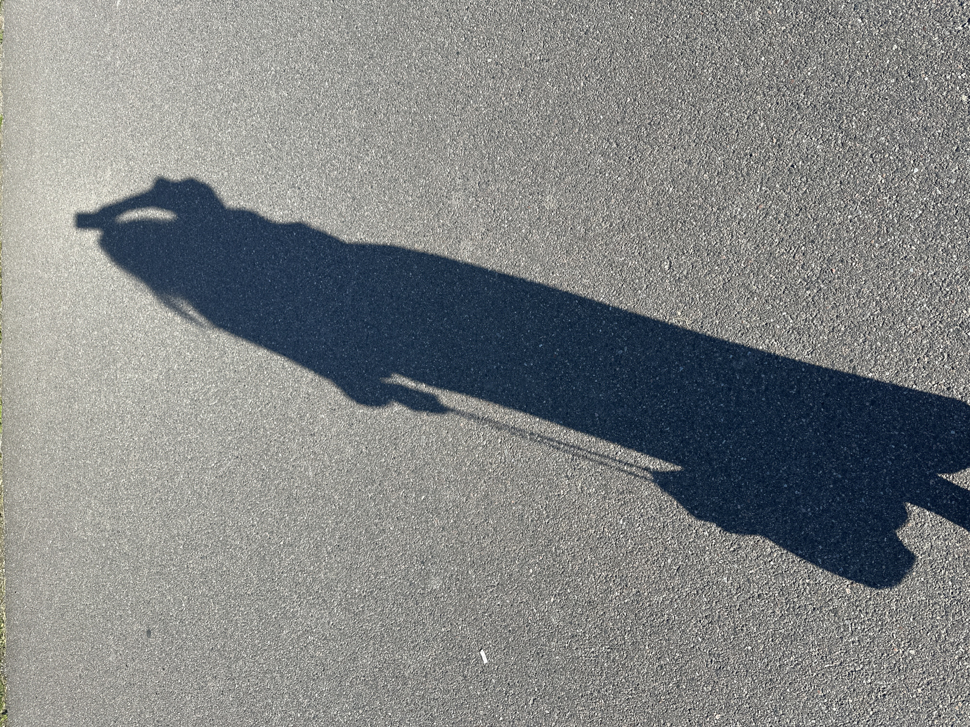 A long shadow of a person is cast across a grey asphalt surface. The shadow depicts a person holding a smartphone in their right hand, possibly taking a selfie, and carrying a bag with a strap in their left hand. The background is a blurry strip of green grass along the top edge of the image, suggesting an outdoor setting. The scene is devoid of any identifiable landmarks or context that would pinpoint the location to Tallinn, Estonia.