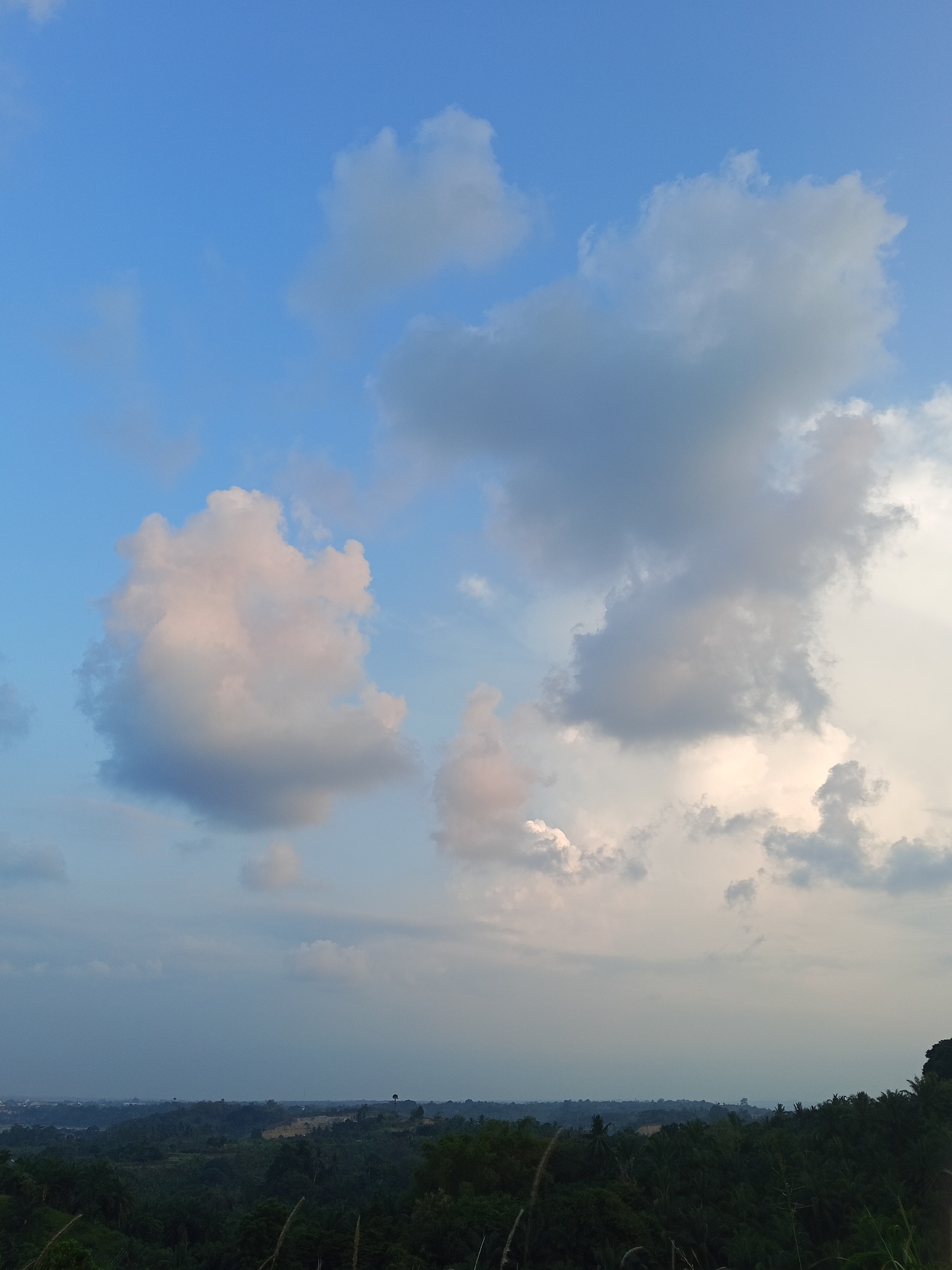 The image displays a vast natural landscape under a dynamic sky, characteristic of Lhokseumawe, Indonesia. The upper portion is dominated by a bright blue sky, partially covered by a variety of clouds. On the left, a large, fluffy cumulus cloud is illuminated with soft pinkish and white hues, indicating late afternoon or early evening light. To the right, denser, grey clouds gather, some with bright white edges where sunlight catches them, creating a sense of depth and atmospheric drama.
The horizon is distant and hazy, delineating the sky from the expansive terrain below. The lower half of the image reveals a lush, green landscape. In the immediate foreground, dark silhouettes of tall grasses or reeds and treetops are visible. Further back, a dense canopy of dark green trees blankets the midground, suggesting a widespread forest or rich vegetation typical of a tropical environment. In the far distance, a faint, hazy line hints at either distant hills or subtle urban development.
There are no visible people, specific man-made objects other than possibly very distant structures, or any discernible text. The scene is static, capturing the natural beauty and tranquility of the landscape under a captivating sky. The soft, warm lighting on the clouds strongly suggests the time of day is late afternoon or approaching sunset.