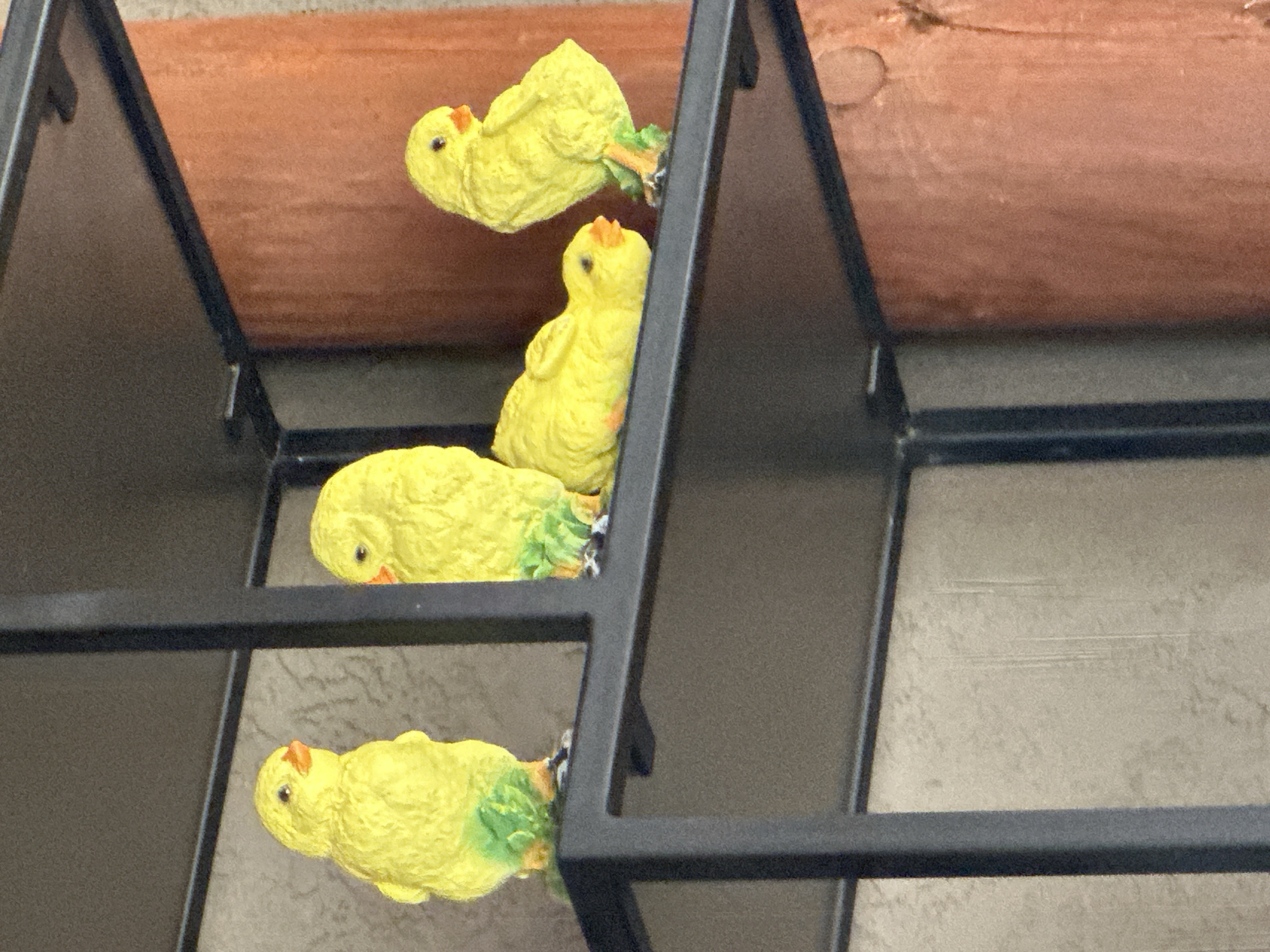The image displays four yellow ceramic chick figurines placed on a black metal shelf. The figurines are of varying poses: one stands upright on the left, another stands upright on the right, one is lying down in the center, and the fourth is also lying down, slightly to the right of the center. They all have orange beaks and small black eyes. The shelf is part of a larger shelving unit, with a light-colored textured wall behind it and a reddish-orange textured surface to the right. There are no people visible in the image. This scene is located in the city of Krasnaya Polyana, Russia.