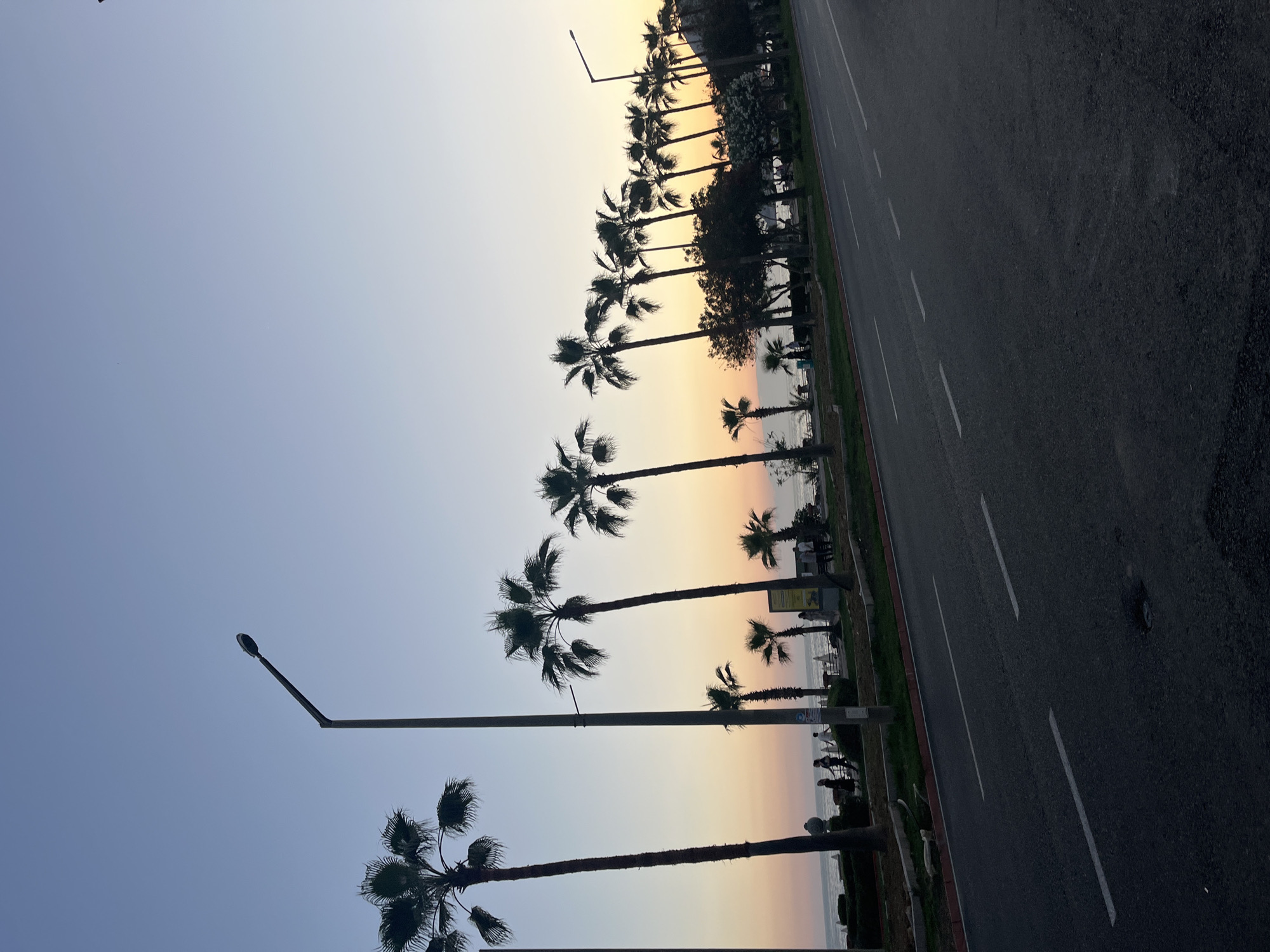 The image, oriented vertically, captures a serene coastal scene at either sunrise or sunset. The sky displays a beautiful gradient, transitioning from a pale lavender-blue at the top to warm orange, yellow, and pink hues closer to the horizon, casting the foreground elements into silhouette.
A wide, dark asphalt road, marked with distinct white dashed lines, occupies the right side of the frame. To its left, a narrow strip of green grass acts as a median, separating the road from a long line of tall palm trees. These palm trees, with their characteristic fronds, stand silhouetted against the vibrant sky, stretching into the distance along what appears to be a promenade or beachfront. Several streetlights are also visible, their dark poles and lamps standing out against the bright sky, with one prominent streetlight in the immediate foreground.
Beyond the palm trees, the tranquil surface of the sea is visible, reflecting the gentle colors of the sky. Along the shoreline or a distant promenade, small, indistinct figures, likely people, can be seen, adding a sense of scale and quiet activity. In the far distance, faint outlines of buildings complete the coastal landscape. The overall mood is peaceful and evocative of a tropical or Mediterranean setting, like Alanya, Turkey, at a beautiful twilight hour. There is no discernible text visible in the image.