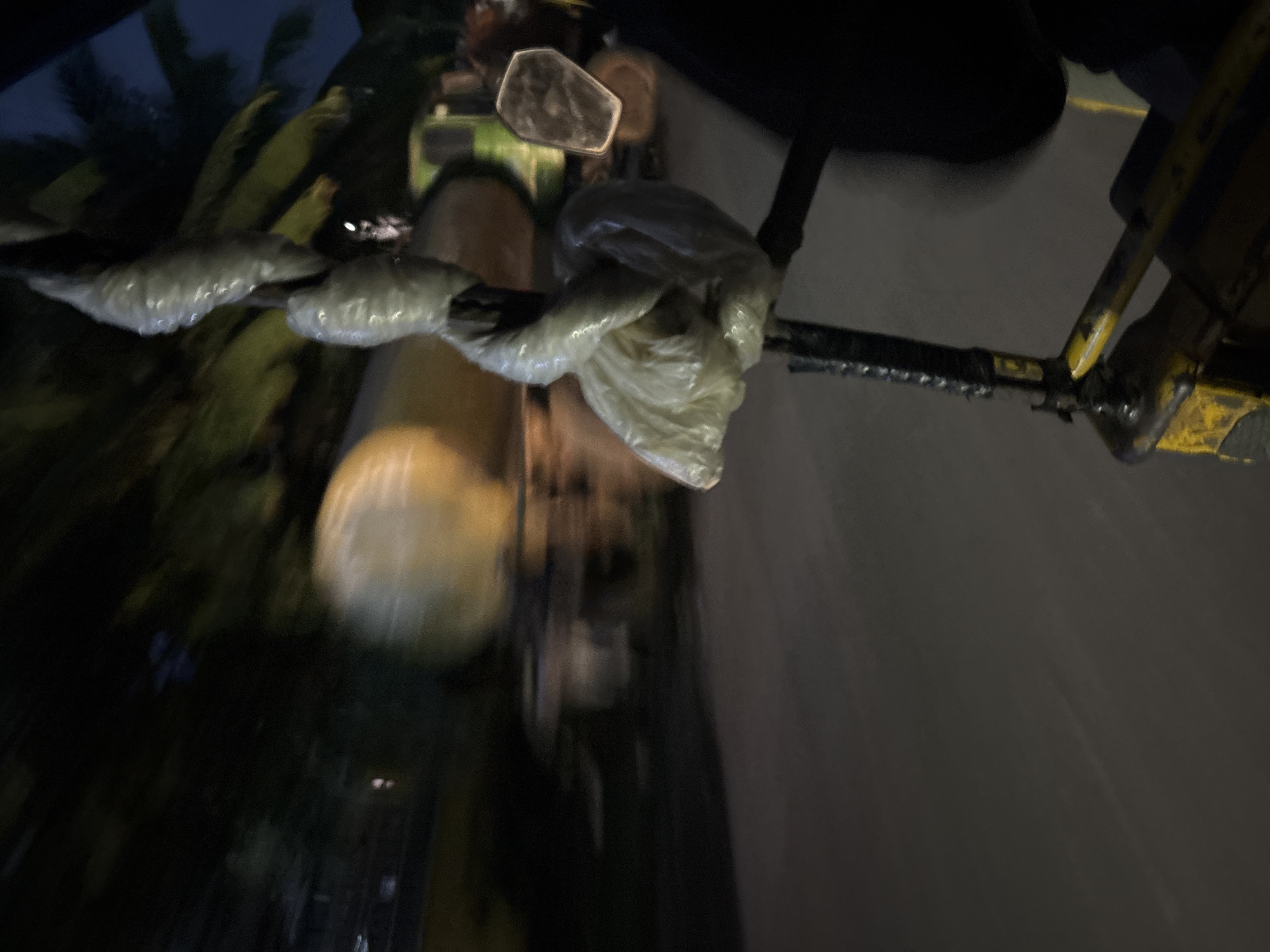 The image shows a blurry, low-light scene, likely taken from a moving vehicle at night, possibly an auto-rickshaw, in Onitsha, Nigeria. In the foreground, a metal pole is wrapped in white plastic bags, creating an abstract, textural element. The background is a blur of motion, suggesting trees or foliage on the left and a large vehicle, possibly a truck or tanker with a cylindrical tank, on the right. A glimpse of a green vehicle and a reflective surface, perhaps a mirror, are also visible. The overall impression is one of movement and a nocturnal urban environment.