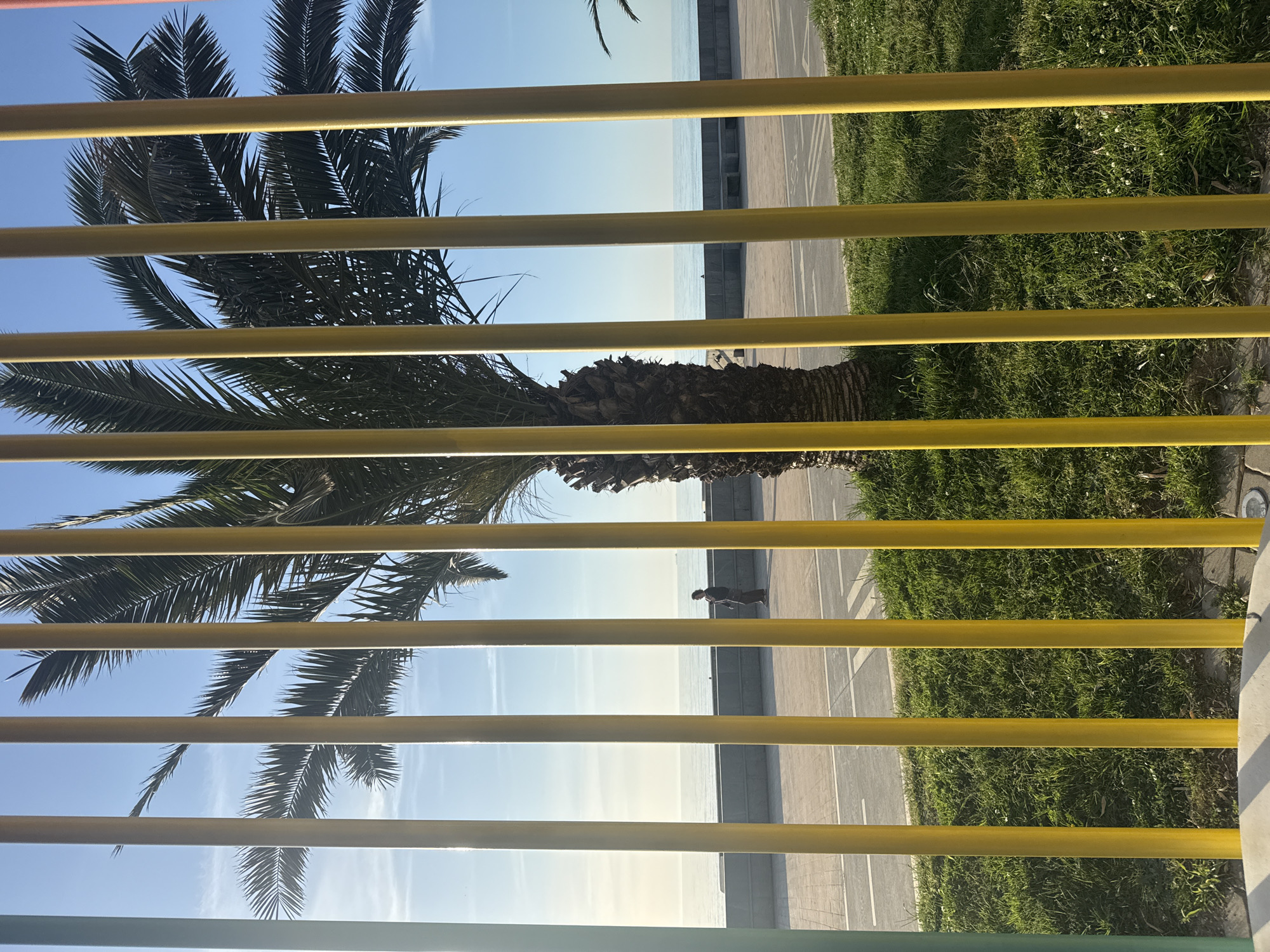 The image shows a view through a yellow railing. The railing is positioned in front of a street next to the sea. A palm tree stands between the railing and the street. A person is walking on the street. There is also grass visible in the scene. The location is Batumi, Georgia.