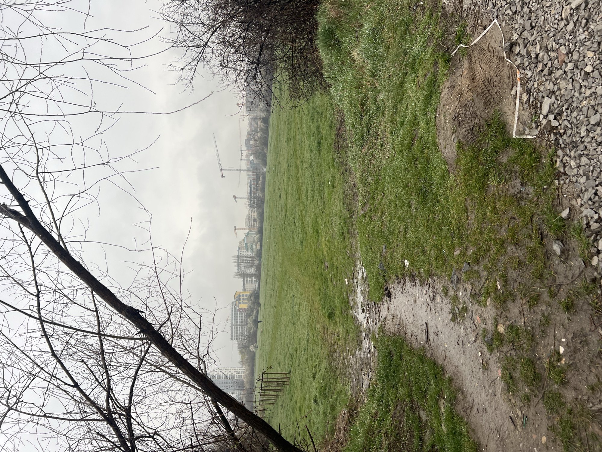 The image shows a grassy field in Sofia, Bulgaria on a cloudy day. In the background are buildings and cranes, indicating a construction site. The foreground consists of a muddy path with a mix of grass and gravel. A bare tree branch is visible on the left side of the frame. The field appears to be wet, reflecting the overcast conditions. A piece of white plastic lays on the ground.