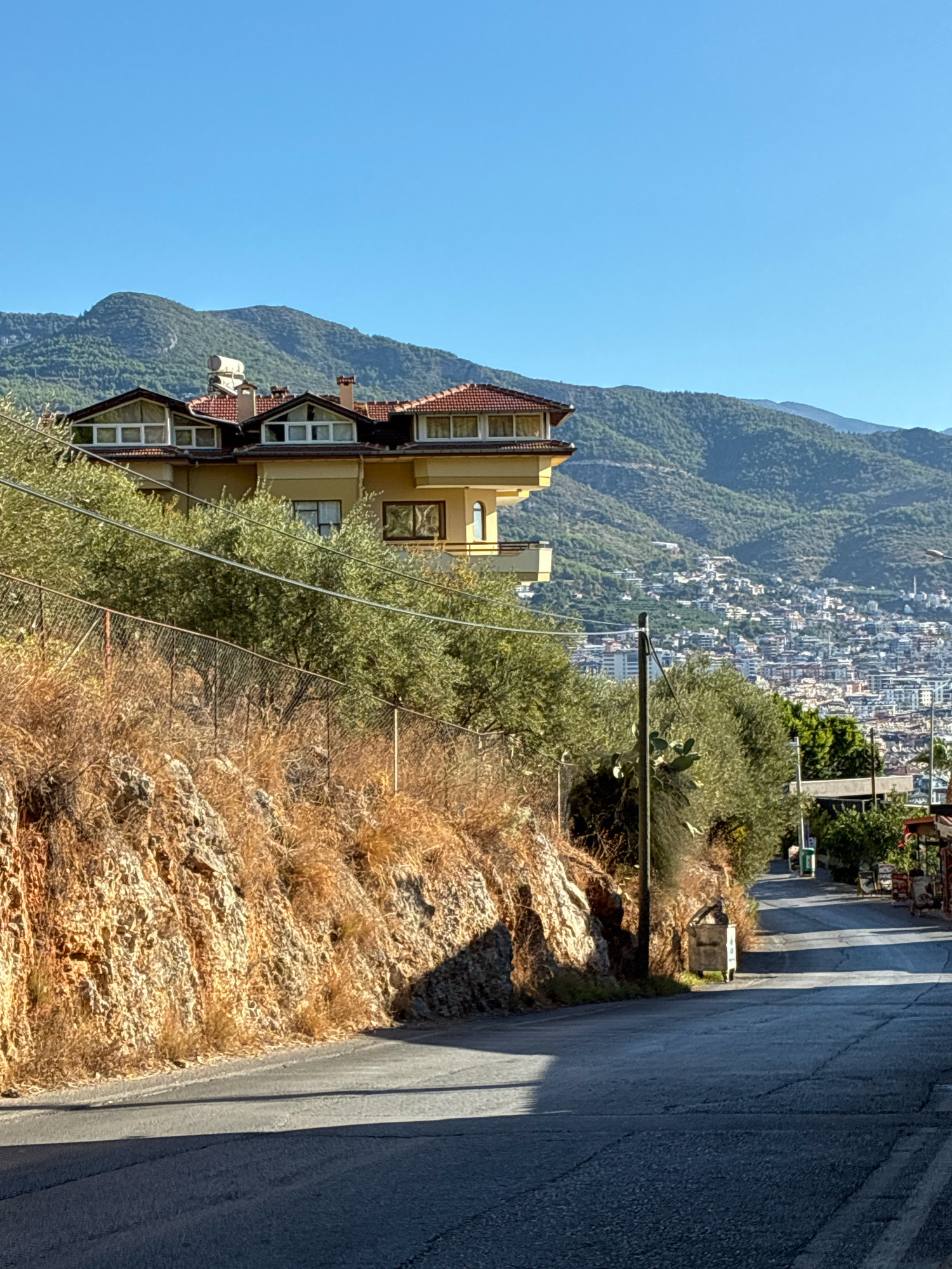 The image shows a sloped asphalt road in Alanya, Turkey, winding uphill. On the left side of the road, a steep, rocky embankment is covered in dry, brown vegetation and a chain-link fence. Above the embankment and fence, a multi-story yellow house with a red-tiled roof is visible, featuring several dormer windows and a balcony. Olive trees and other green foliage are interspersed around the house and along the hillside. In the background, a densely populated city sprawls across a green, mountainous landscape under a clear blue sky. The city appears to consist of numerous buildings of varying heights and architectural styles. A metal trash bin is positioned on the right side of the road further up. The lighting suggests it is a sunny day, casting shadows on the road.