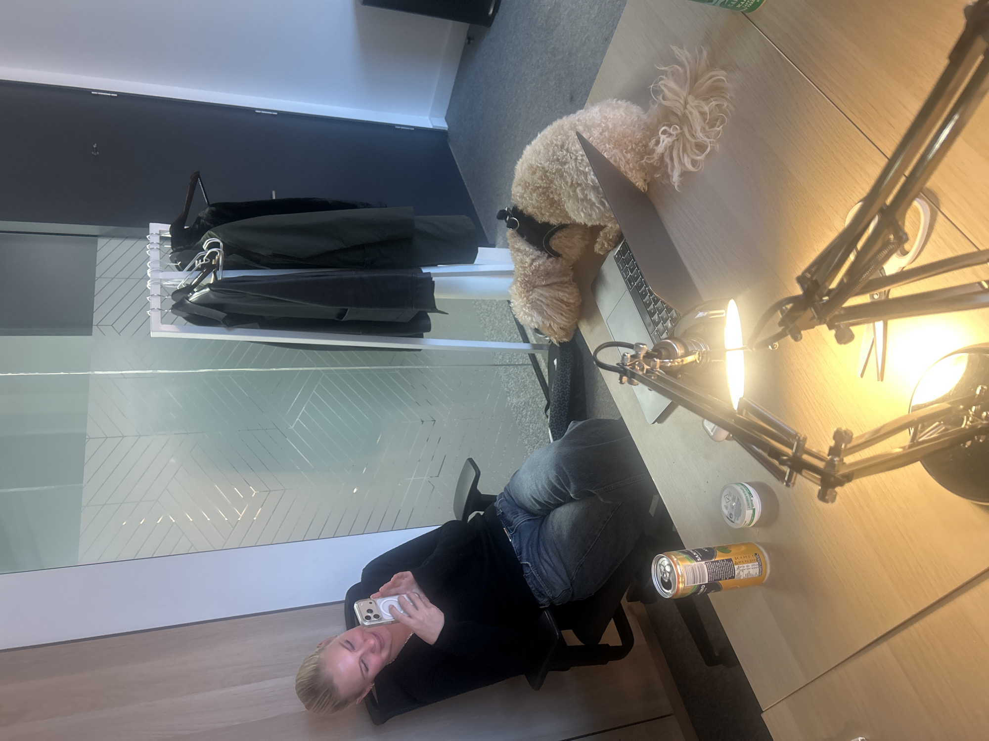 An indoor office scene in London, United Kingdom, features an adult blonde female and a medium-sized dog. The female is seated in a black office chair, leaning against a light wooden wall panel, wearing a black long-sleeved top and blue jeans. She holds a silver smartphone horizontally, looking at its screen and smiling. On a light wooden desk in the foreground, a curly-haired, light brown dog wearing a black harness is curled up, resting its head on an open silver laptop. Two chrome articulated desk lamps are present on the desk, one prominently illuminated. Also on the desk are an open yellow-orange beverage can (San Pellegrino Limonata) and a small white and green circular container (VELO nicotine pouches). In the background, a white coat rack holds several dark jackets, positioned in front of a frosted glass partition with a geometric pattern. A dark grey door is visible to the right of the coat rack. The floor is covered with grey carpet.