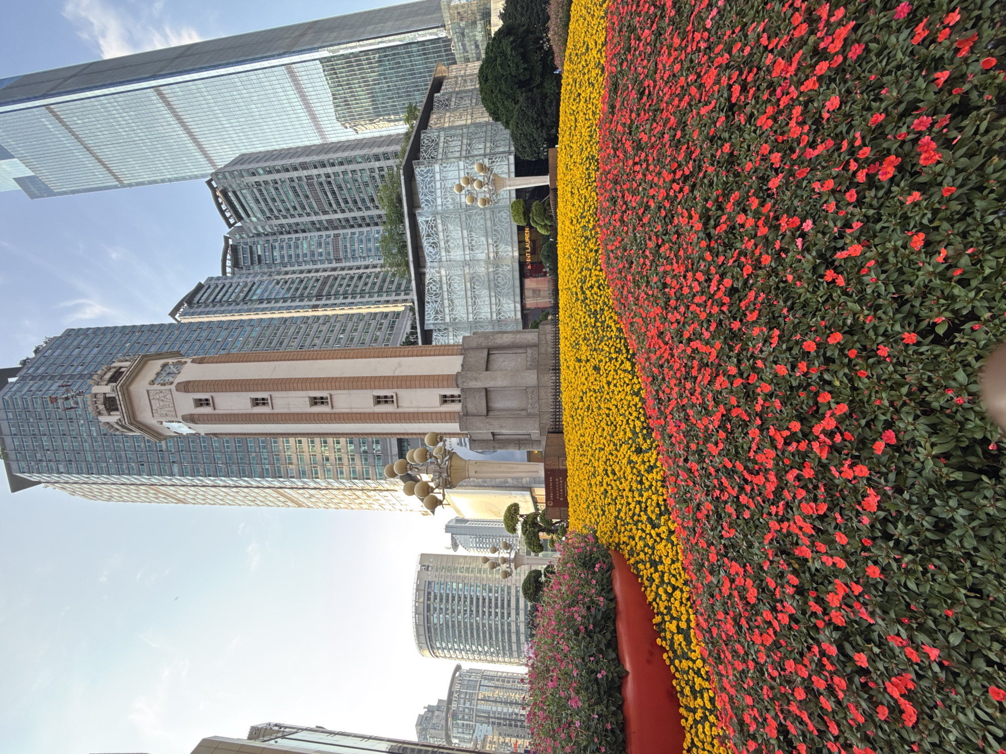 The image shows a vibrant flower bed in Yuzhong District, China. The flower bed is predominantly filled with red and yellow flowers, with a section of pink flowers on a red mound. In the background are several modern high-rise buildings. One building has a clock tower. Streetlights are also visible. The scene is set in daylight.