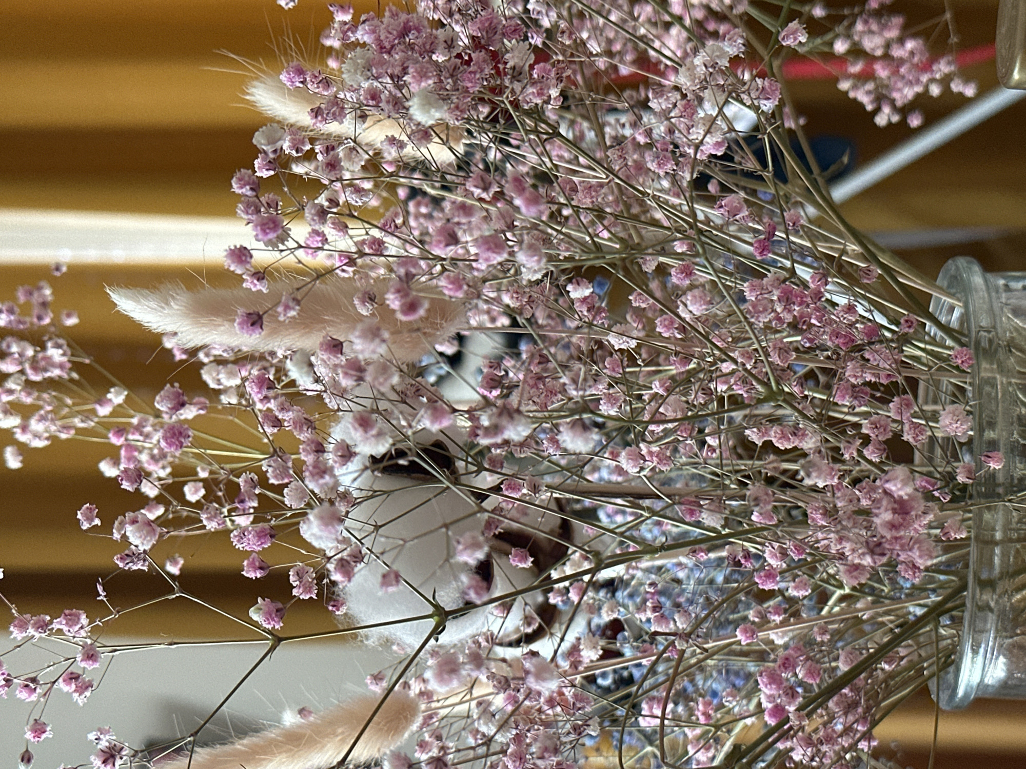 A close-up shot of a bouquet of pink and white baby's breath, interspersed with fluffy, beige decorative sprigs. The bouquet is presented in a clear glass jar. The background consists of a blurred wooden surface. A small white stuffed object (likely an animal toy) is also visible within the bouquet, partially obscured by the flowers. The location in Budva, Montenegro cannot be identified from the visual information.