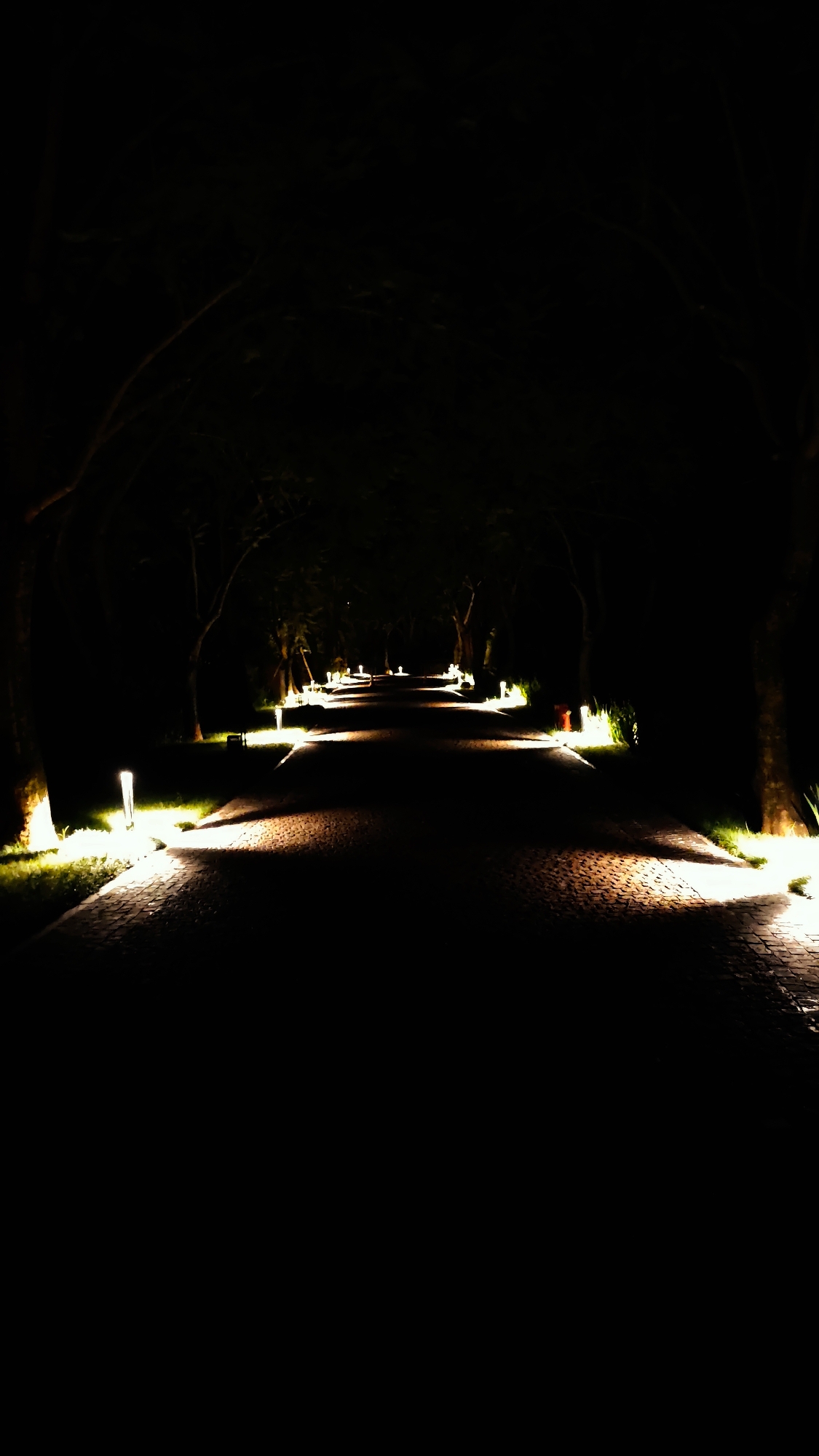 This image captures a paved pathway at night, located in Mu Cang Chai, Vietnam. The path, constructed from interlocking pavers, extends into the distance, narrowing and curving slightly towards the vanishing point. Numerous artificial lights, appearing as ground-level or short bollard fixtures, are strategically positioned along both edges of the path. These lights emit a warm-toned illumination, casting distinct fan-shaped beams onto the paved surface and the adjacent green foliage. Dark silhouettes of trees line both sides of the pathway, their trunks partially visible where illuminated by the ground lights. The upper portions of the trees and the background are enveloped in deep shadow. No individuals, animals, or vehicles are present in the scene. The environment suggests a maintained outdoor area, possibly a pedestrian route within a resort or park.