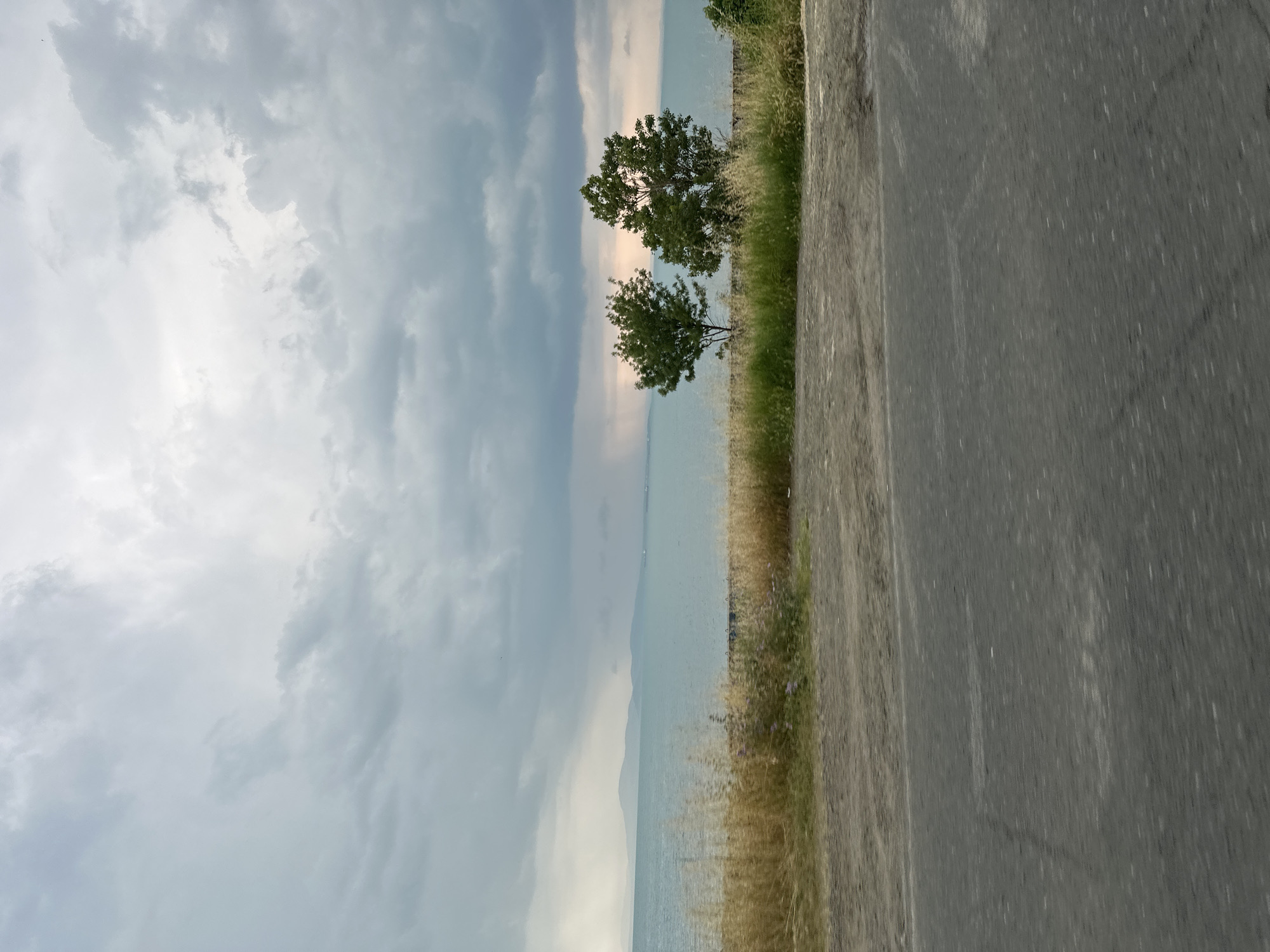 A landscape photograph, rotated 90 degrees clockwise, captures a serene outdoor scene under an overcast sky. In its current orientation, the left side of the image is dominated by a vast expanse of heavy, grey clouds, with a brighter, ethereal light breaking through towards the center-top, suggesting the horizon. The middle section of the image features a large body of water, likely a lake or sea, stretching horizontally across the frame with faint, distant hills visible along its far edge.
On the bank of this water body, two small trees with full green foliage stand prominently, surrounded by a mixture of green and dry, golden-brown grass and weeds. This grassy area forms a natural border alongside a paved road, which occupies the rightmost portion of the rotated image. The road surface is grey asphalt, showing some texture but no clear markings. The soft glow on the horizon hints at either a late afternoon or early evening setting. There are no people, animals, or visible text in the image.
