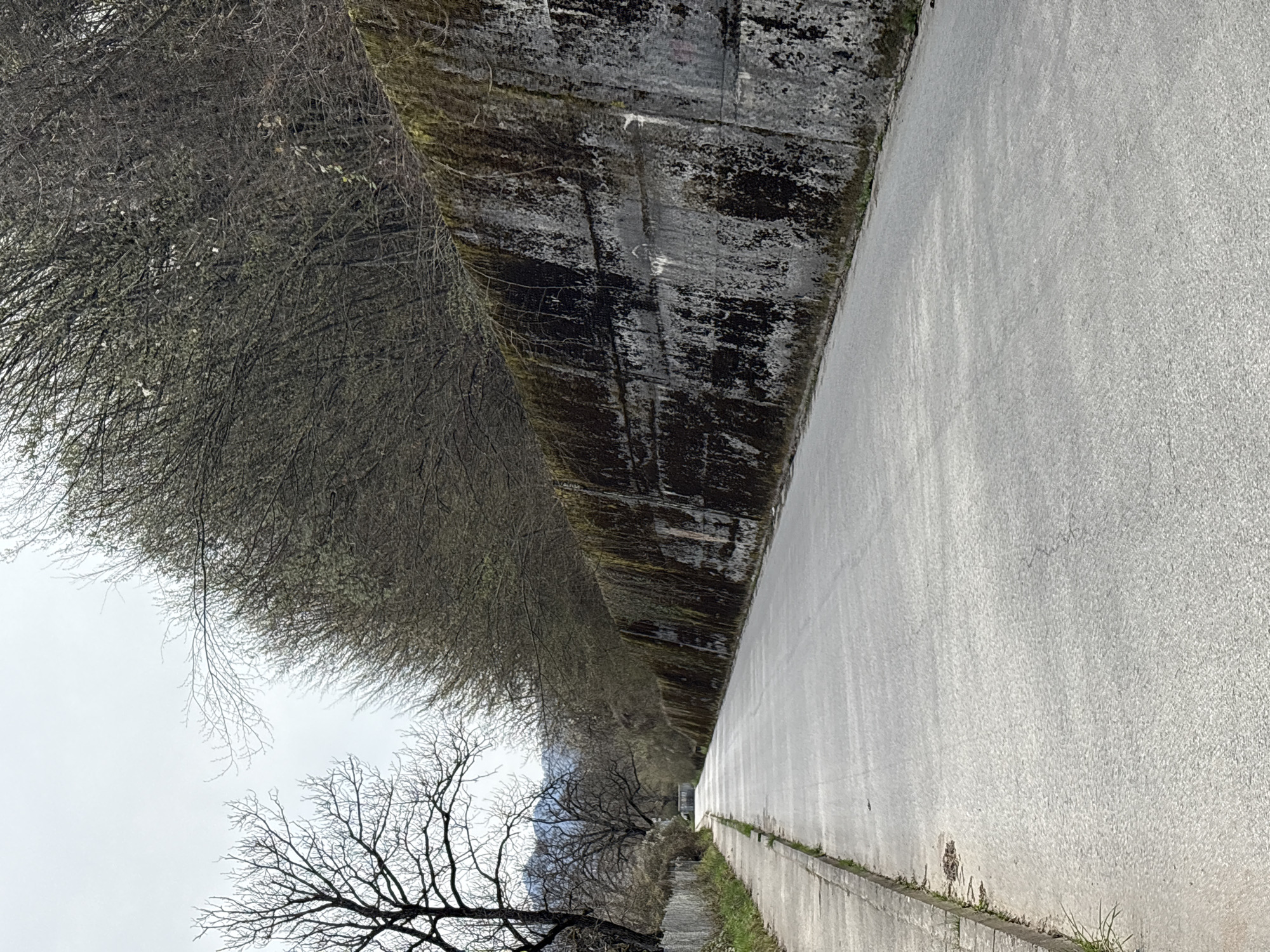 A narrow, wet paved road runs along a tall, weathered concrete wall. The wall is heavily stained with dark streaks and patches. On the other side of the wall, a dense row of bare trees lines the pathway. Further in the distance, a smaller concrete structure is visible. The sky is overcast. This is a scene in Teteven, Bulgaria.