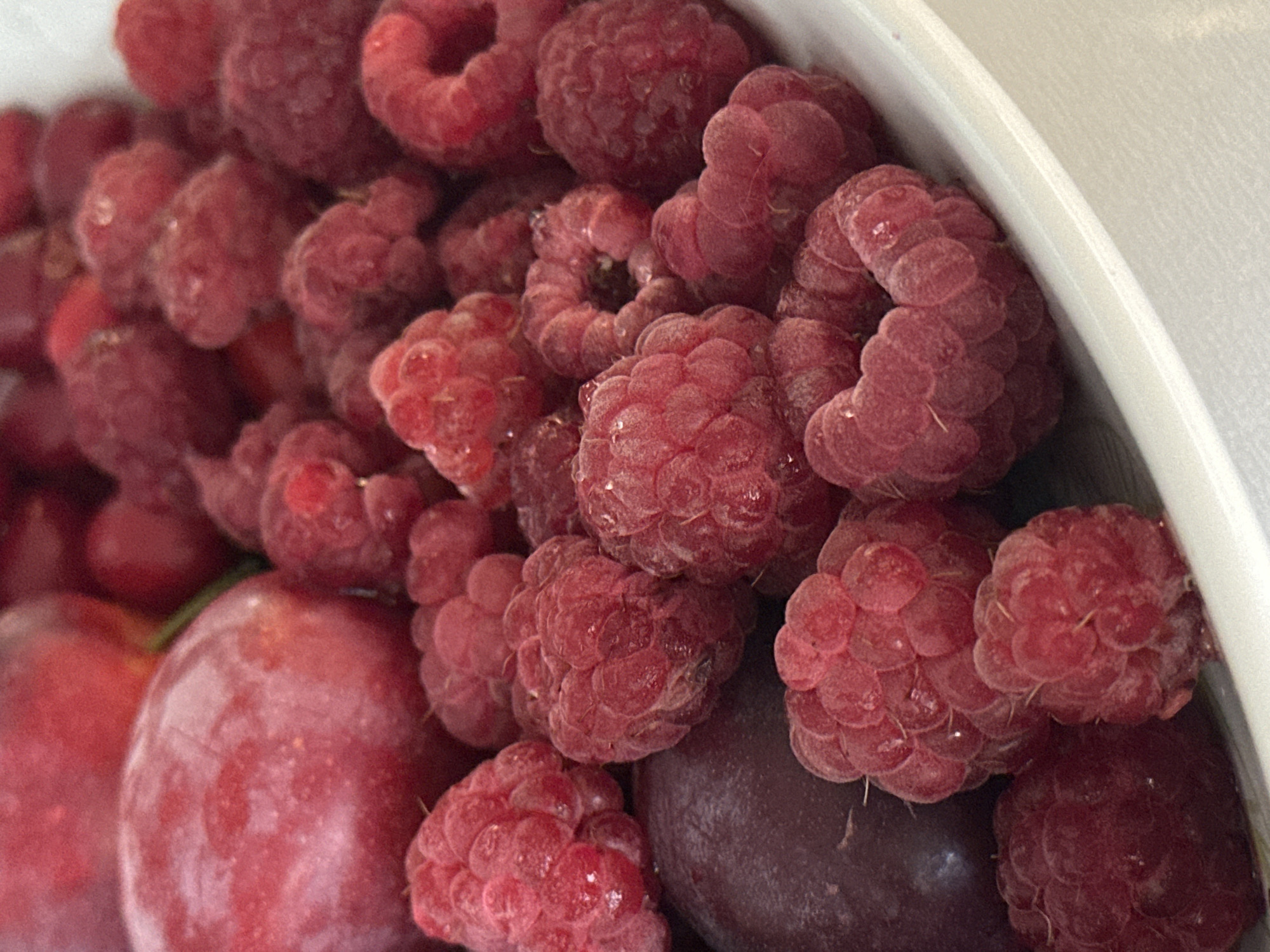 This is a close-up, overhead shot of a bowl filled with fresh raspberries and plums. The raspberries are a vibrant red, with a textured surface, and some appear to have water droplets on them. Interspersed among the raspberries are several dark purple plums, one of which is partially visible on the left side of the frame. The bowl is white and has a curved edge visible at the bottom of the image. The lighting suggests an indoor setting, possibly a kitchen counter, with the focus primarily on the fruit. There are no people or animals present. This image was taken in Nevinnomyssk, Russia.