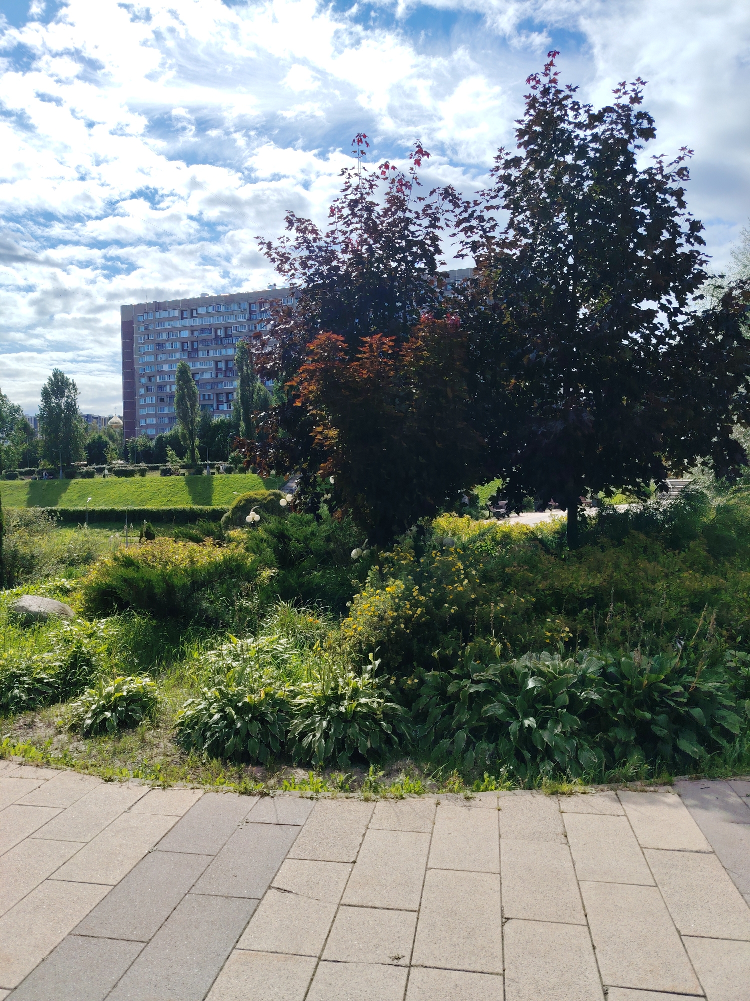 The image depicts a park area in Zelenograd, Russia, on a cloudy day. In the background, a multi-story residential building with a brick facade and numerous windows is visible. A large, dark-leafed tree with red and green foliage dominates the mid-ground on the right. In front of the building, a grassy slope is adorned with manicured hedges and several tall, slender trees. The foreground features a paved walkway made of beige and gray rectangular tiles, bordering a densely vegetated area with various shrubs, hosta plants, and smaller flowering plants. The lighting suggests it is daytime, with the sun intermittently breaking through the clouds. There are no people or visible animals in the frame.
