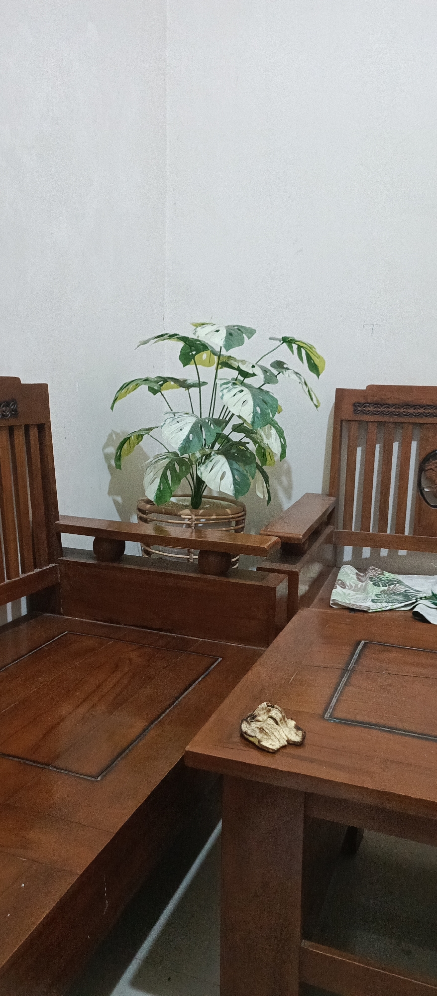 A close-up indoor shot captures a corner of a living room with wooden furniture. The scene is dominated by two wooden chairs and a wooden table. The chair on the left is partially visible, showing its armrest and seat. The chair on the right is more fully visible, with intricate carvings on its backrest. Between the chairs, a wooden table is prominent, with a small, naturalistic decorative object placed on its surface. In the background, a large potted plant with variegated green and white leaves adds a touch of nature to the indoor setting. The plant is housed in a woven basket-like pot. The wall behind the furniture is plain and white, with a shadow cast by the plant. The lighting suggests an indoor environment, possibly a home or a hotel lobby, without any specific indicators of a particular city or location.