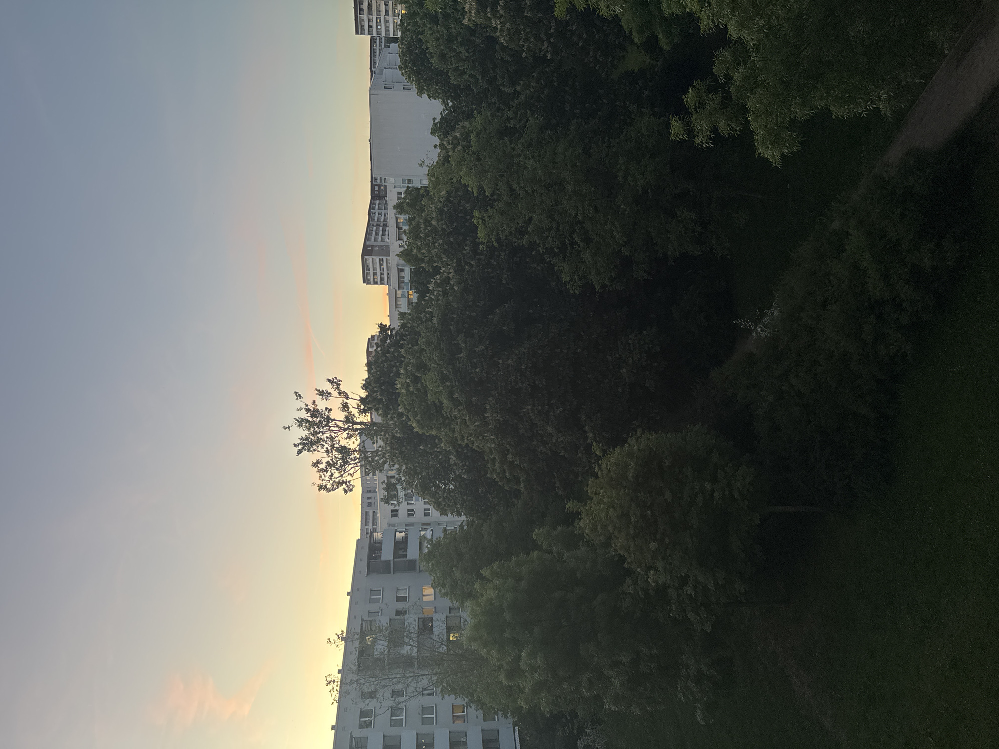 The image depicts a cityscape with tall, multi-story buildings partially obscured by dense foliage, likely taken at or around sunset. The sky is a gradient of blues and oranges, suggesting twilight. The buildings are light-colored with numerous windows, some of which are illuminated. The trees are lush and green, creating a foreground that softens the urban environment. The location is in Berlin, Germany.