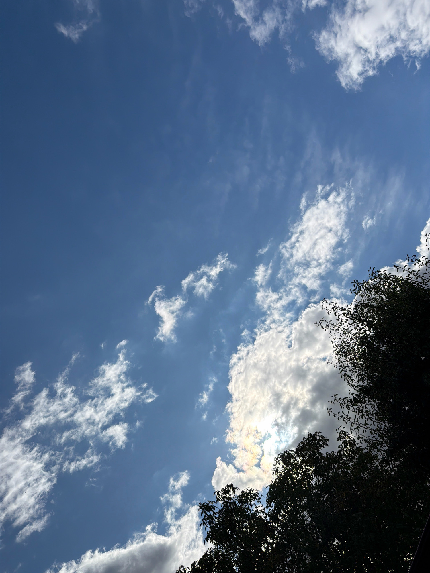 The image depicts a portion of a bright blue sky with scattered white clouds. The lower right quadrant of the image is dominated by the dark silhouettes of tree branches and foliage, suggesting they are in the foreground. The clouds are varied, with some appearing wispy and others more substantial and fluffy. Sunlight is partially obscured by one of the larger clouds, creating a bright, almost iridescent effect around it. The scene appears to be an outdoor environment, likely in a natural or semi-natural setting. No people or specific landmarks are visible. The lighting suggests it is daytime. The location is specified as Бабініцкі сельскі Савет, Belarus.
