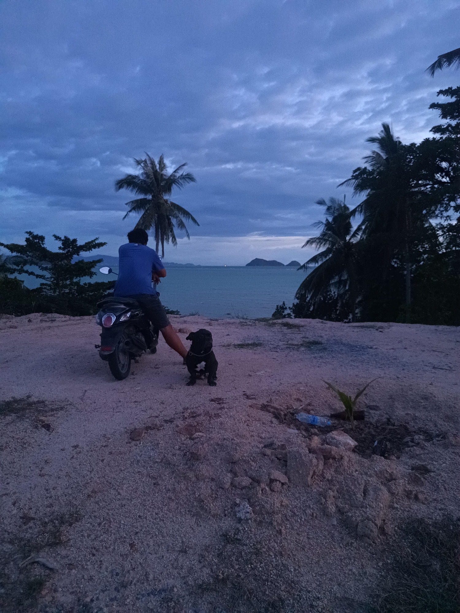 A man sits on a motorcycle with a dog standing beside it, facing the ocean at dusk in Baan Hin Kong, Thailand. The man wears a blue shirt and dark shorts. The dog is small, black, and wears a collar. A coconut palm tree stands to the left, and other trees are silhouetted against the sky. In the foreground, the ground is sandy. Litter, including a plastic bottle, is visible near a small plant. In the background, the ocean stretches out to islands on the horizon under a cloudy sky.