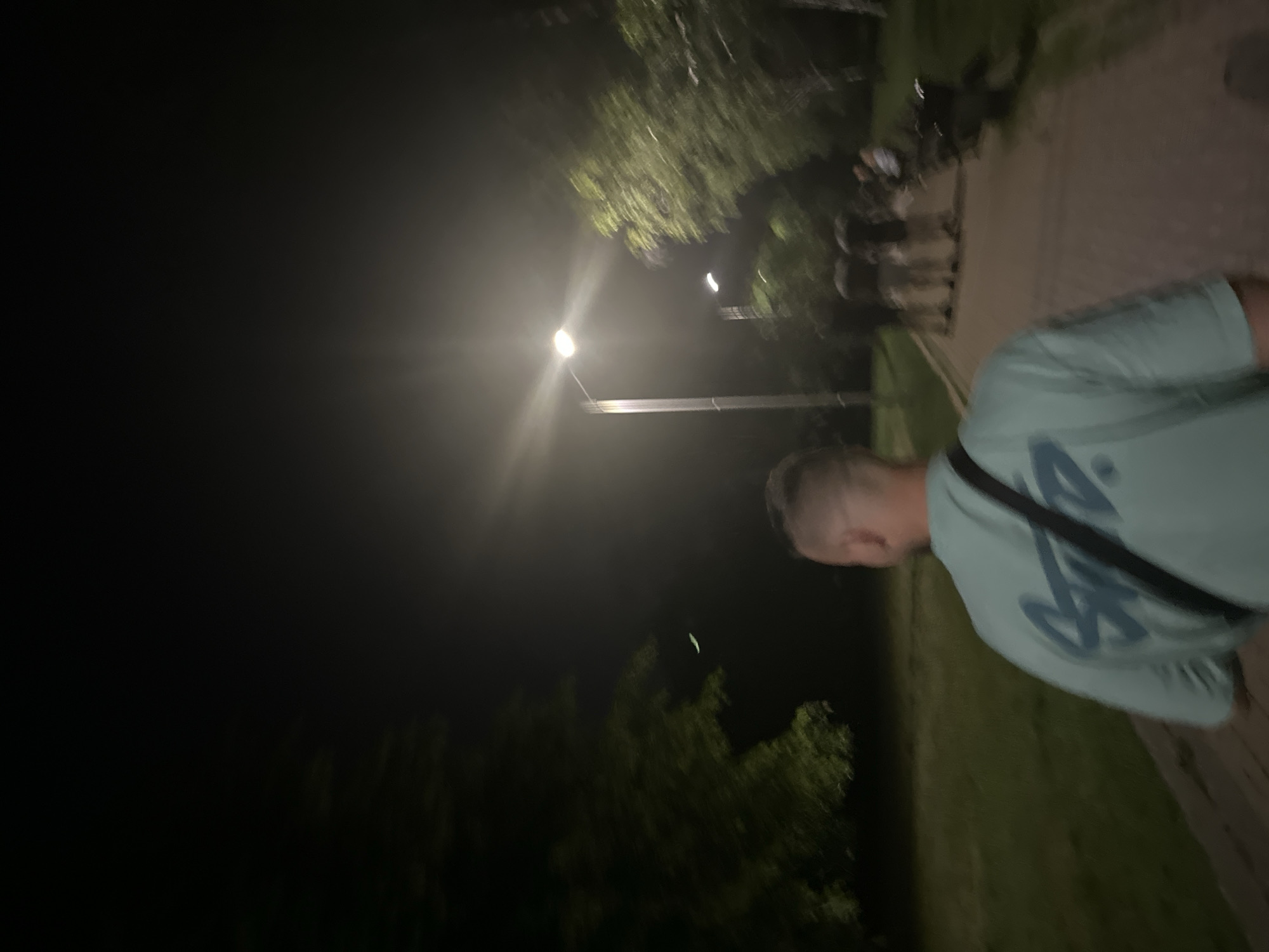 A man wearing a teal t-shirt with a blue graphic on the back walks away from the camera on a paved path in a park at night. He has a black bag slung over his shoulder. Several other people are walking in the distance on the same path. Two lampposts illuminate the scene, casting a glow on the path and surrounding trees. The park appears to be in a somewhat suburban or residential area, with grass and trees visible on either side of the path. The sky is dark, indicating it is nighttime.